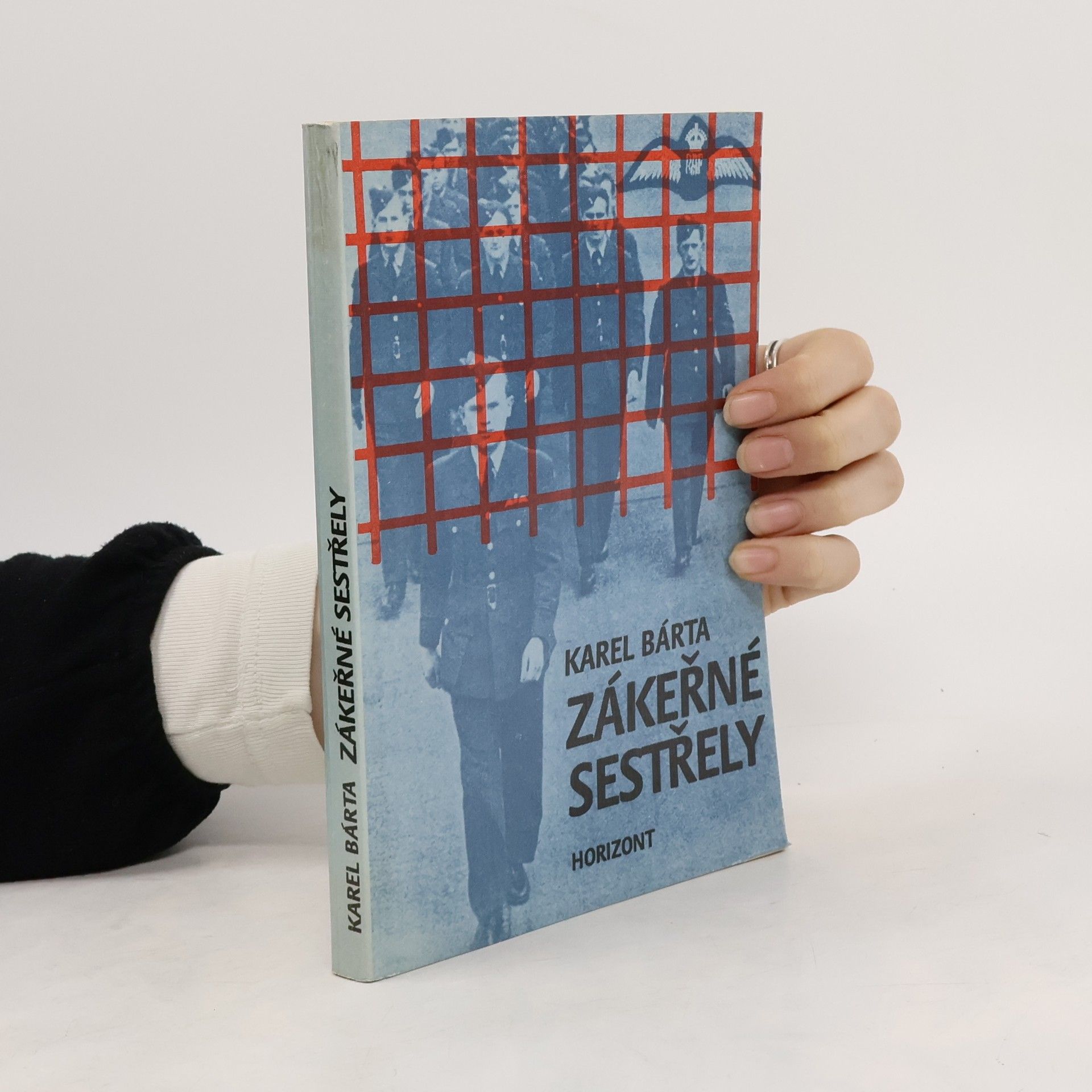 Zákeřné sestřely