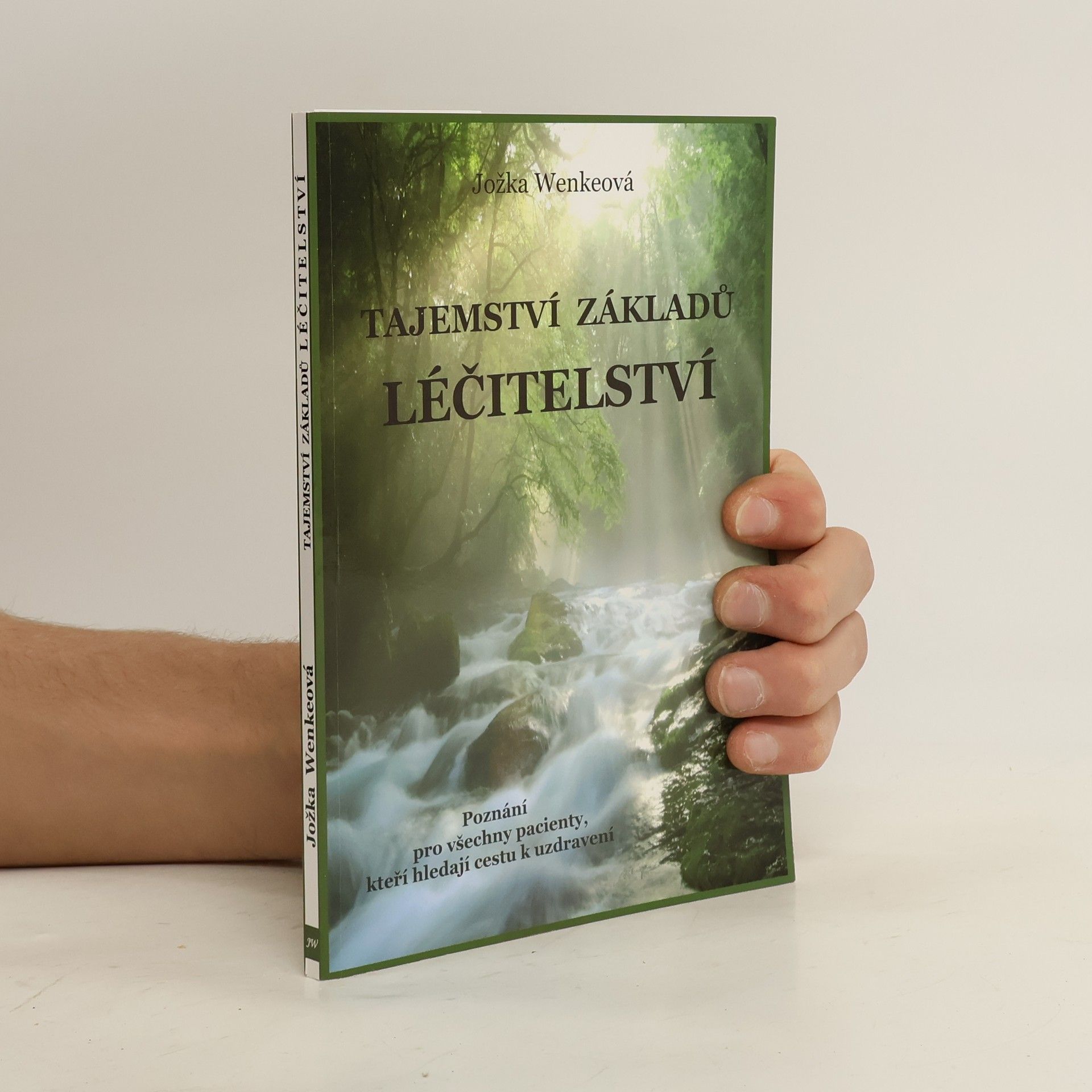 Tajemství základů léčitelství: poznání pro všechny pacienty, kteří hledají cestu uzdravení
