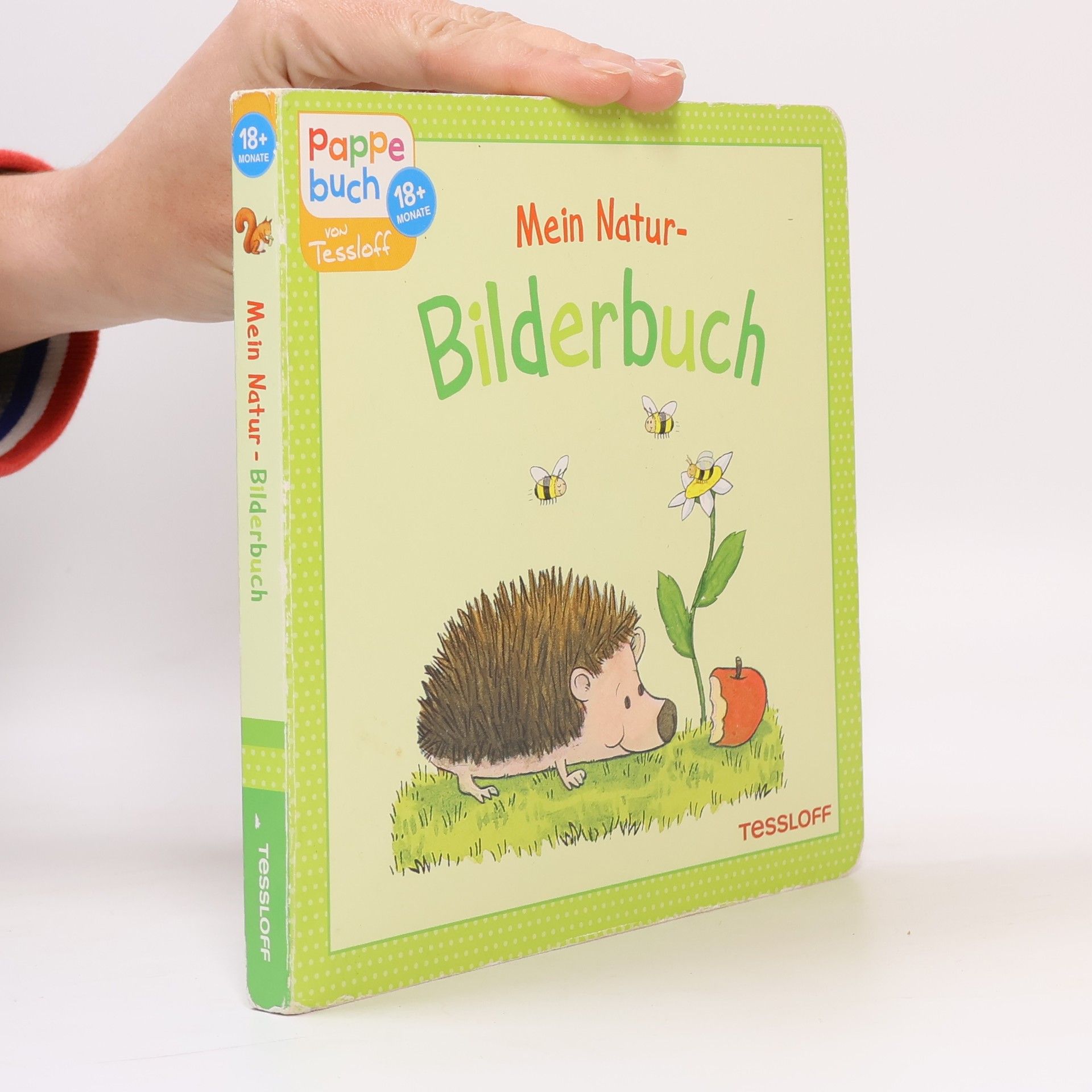 Sandra Reckers Mein Natur-Bilderbuch