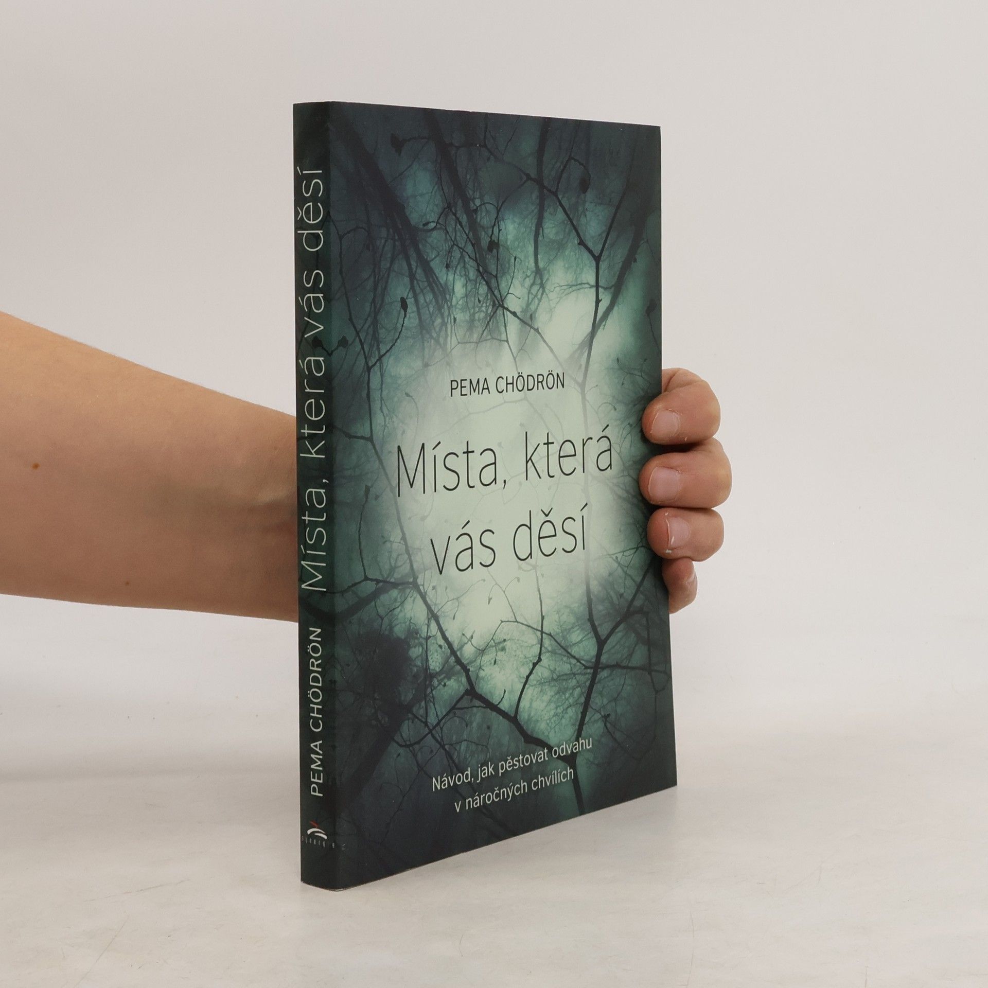 Pema Chödrön Místa, která vás děsí