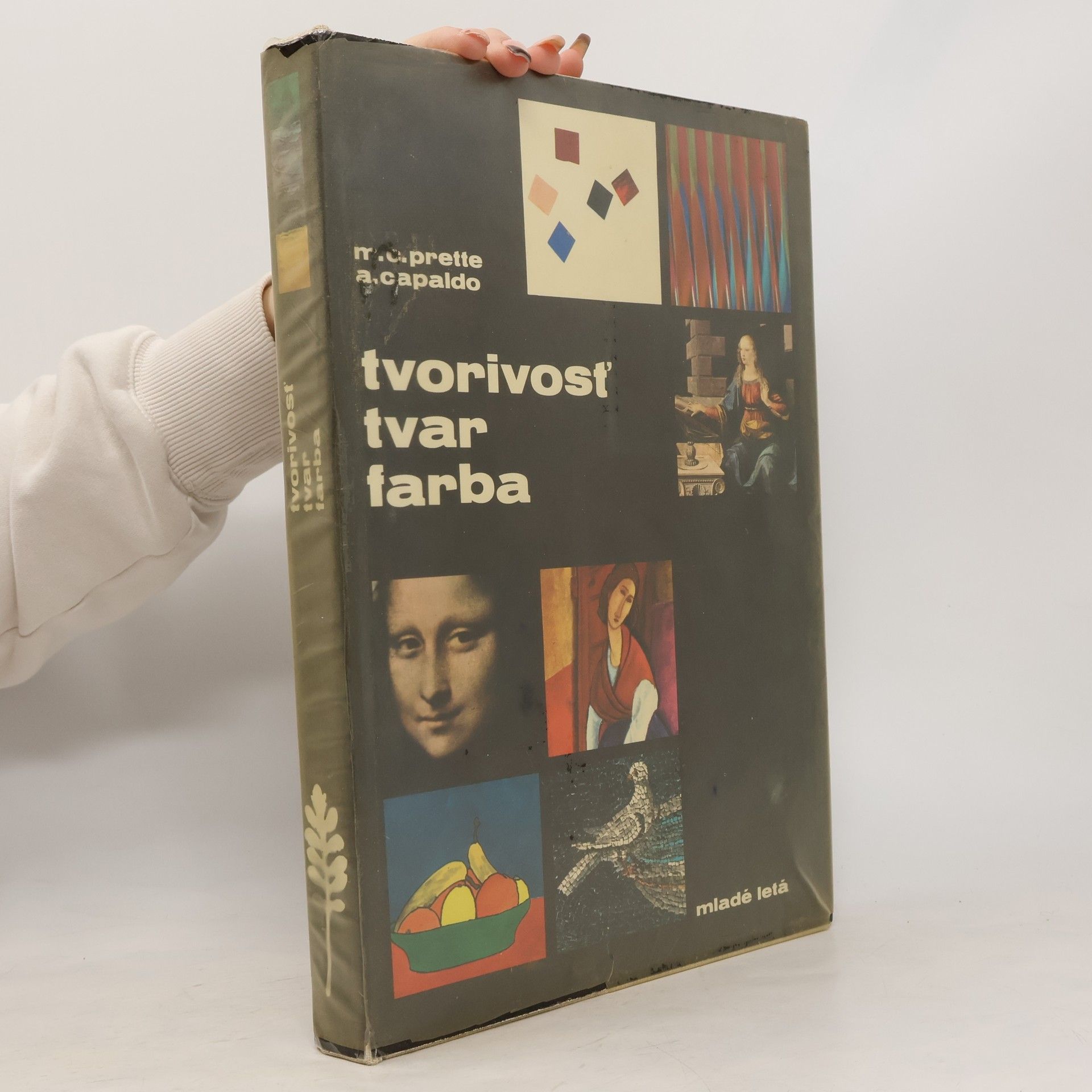 Tvorivosť. Tvar. Farba