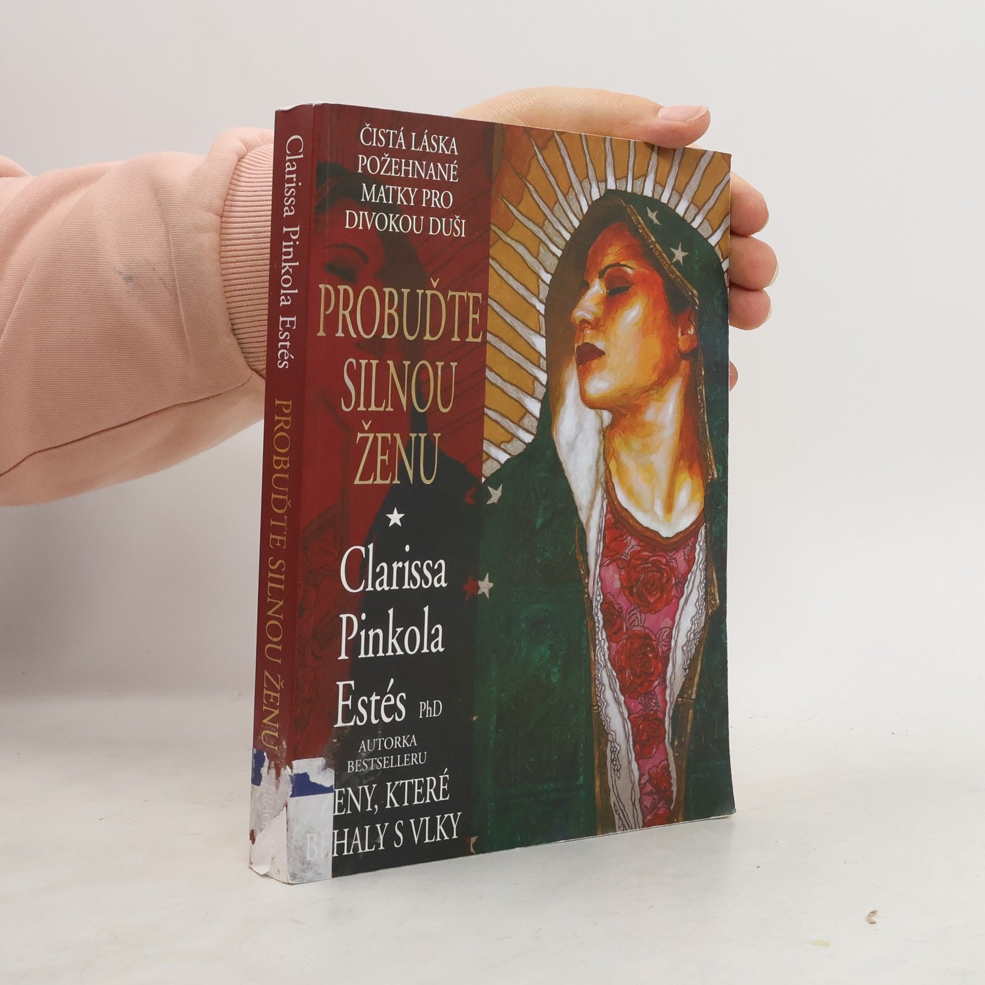 Probuďte silnou ženu : čistá láska požehnané Matky pro divokou duši