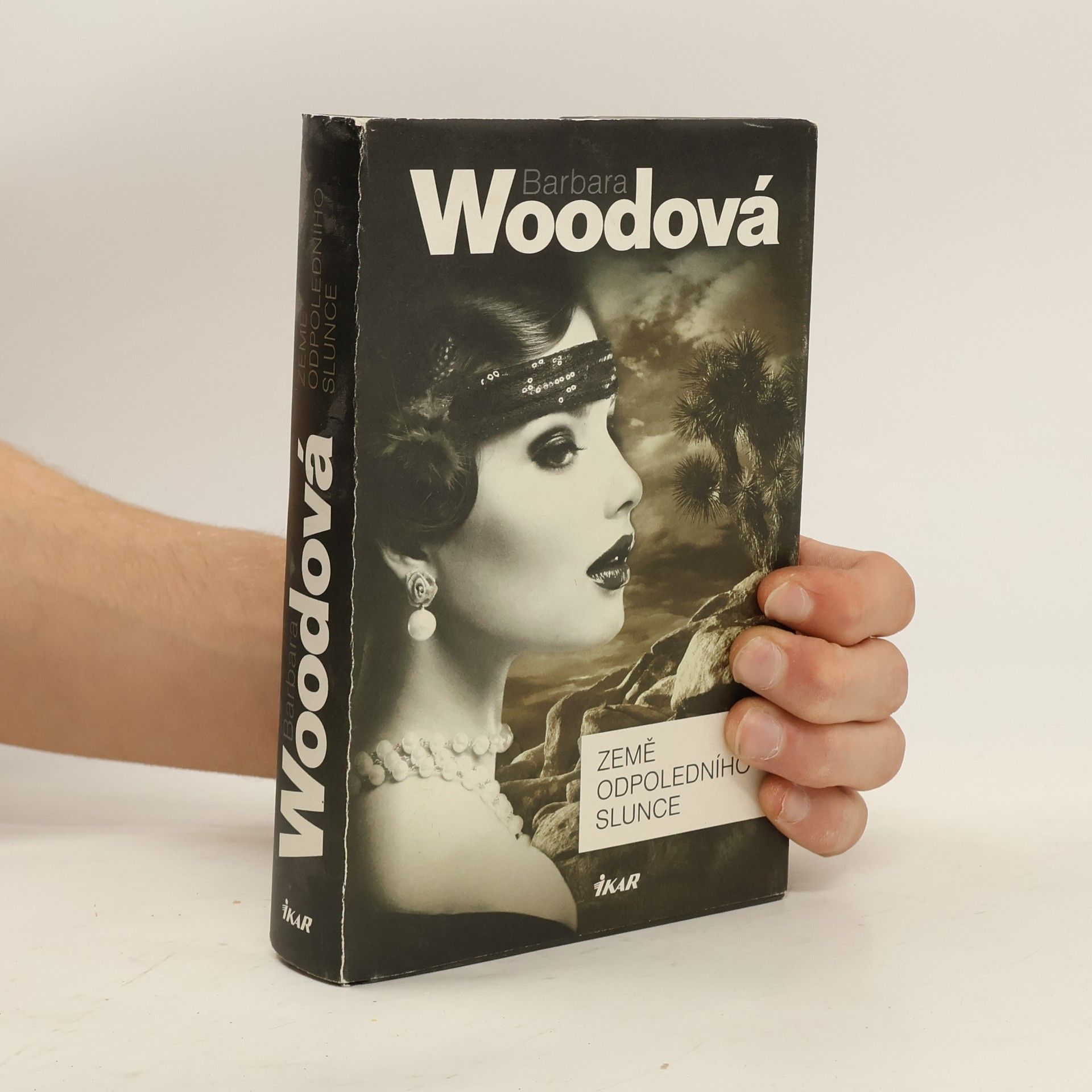 Barbara Wood Země odpoledního slunce