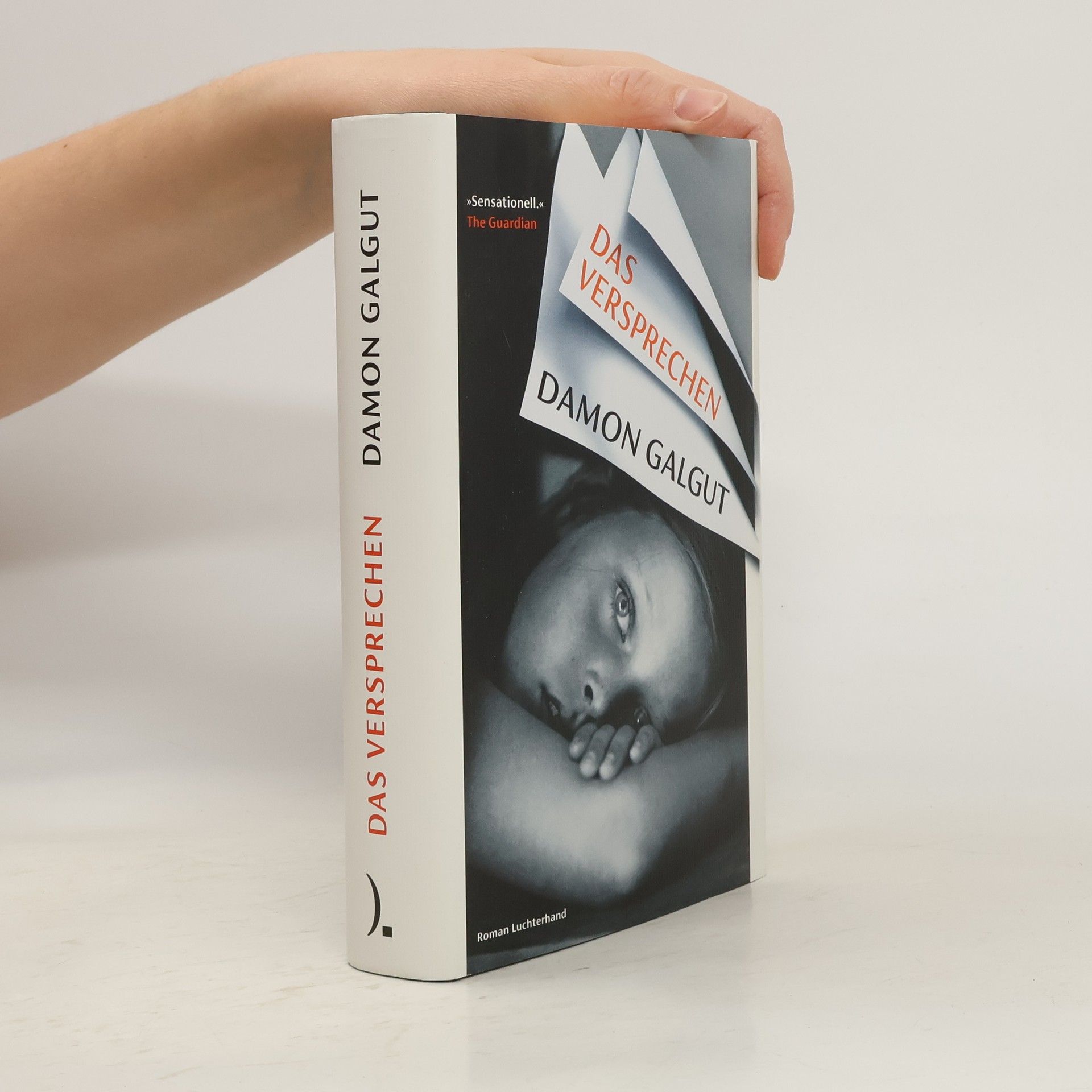 Damon Galgut Das Versprechen