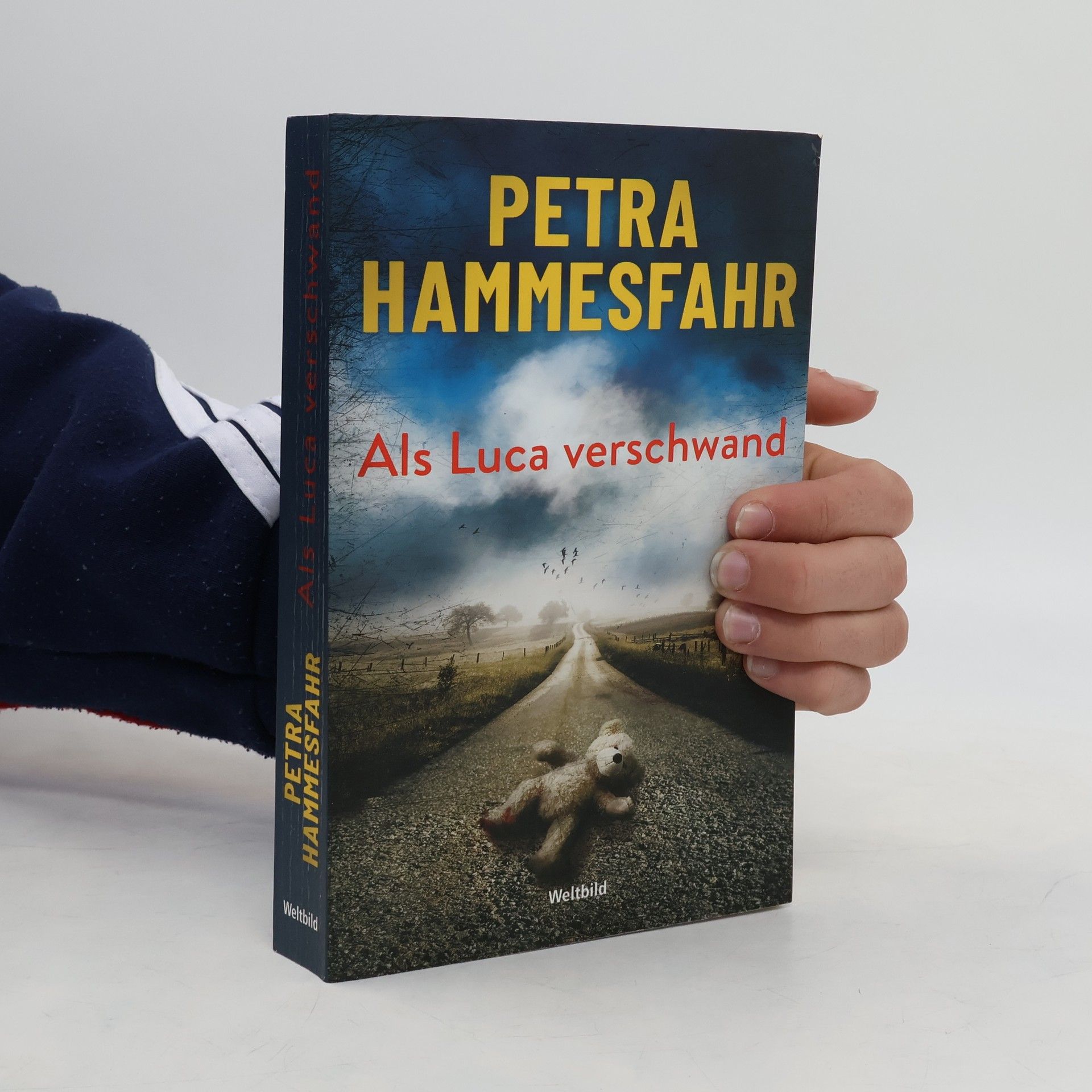 Petra Hammesfahr Als Luca verschwand