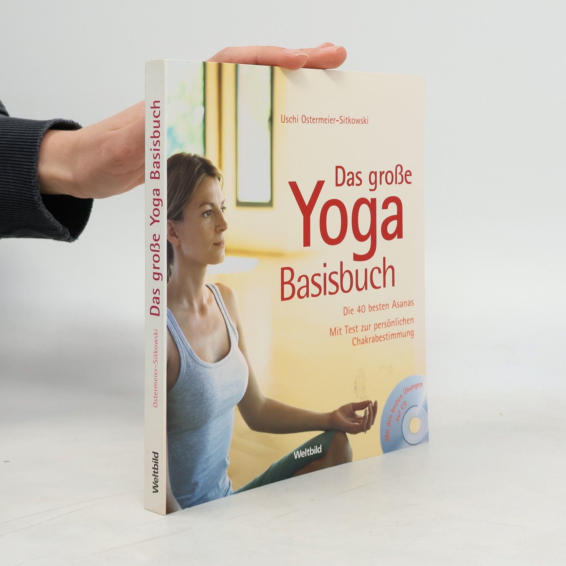 AA.VV. Das große Yoga-Basisbuch