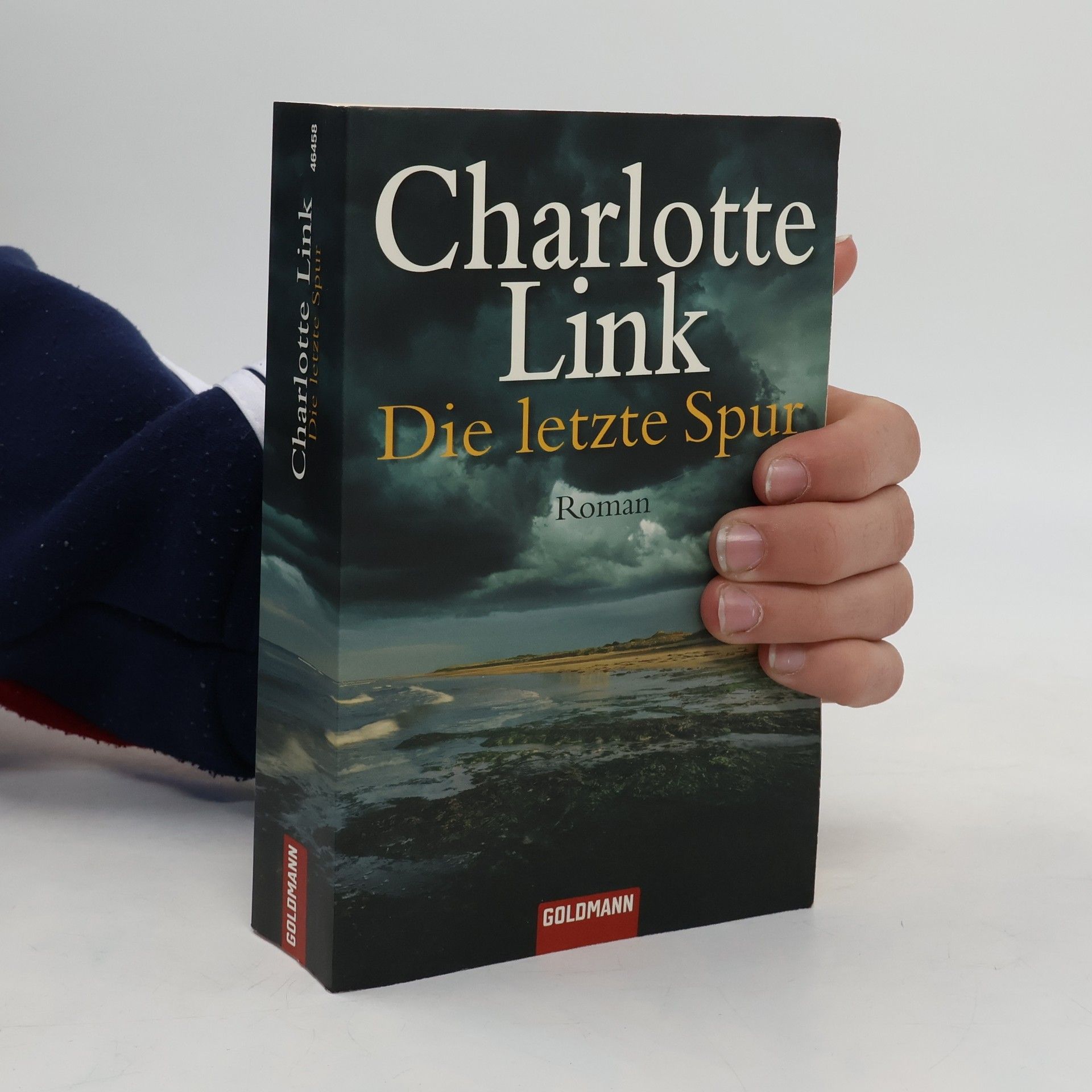 Charlotte Link Die letzte Spur