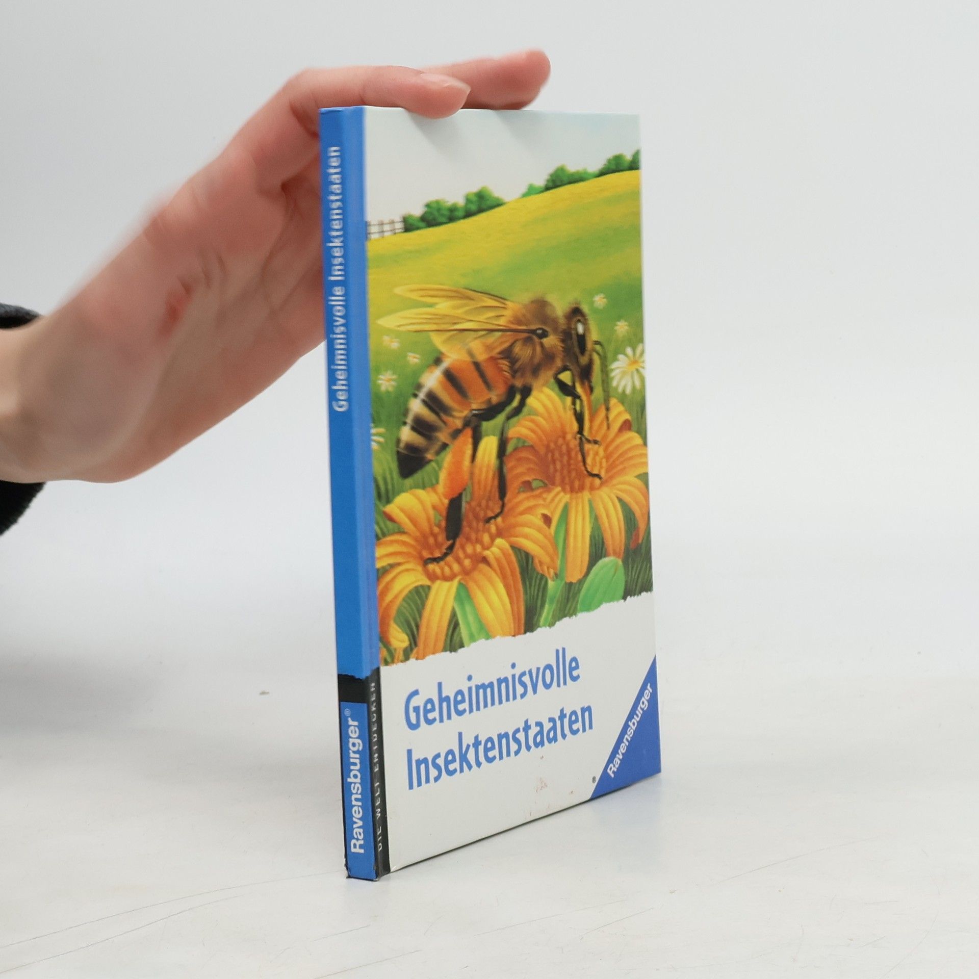 Geheimnisvolle Insektenstaaten