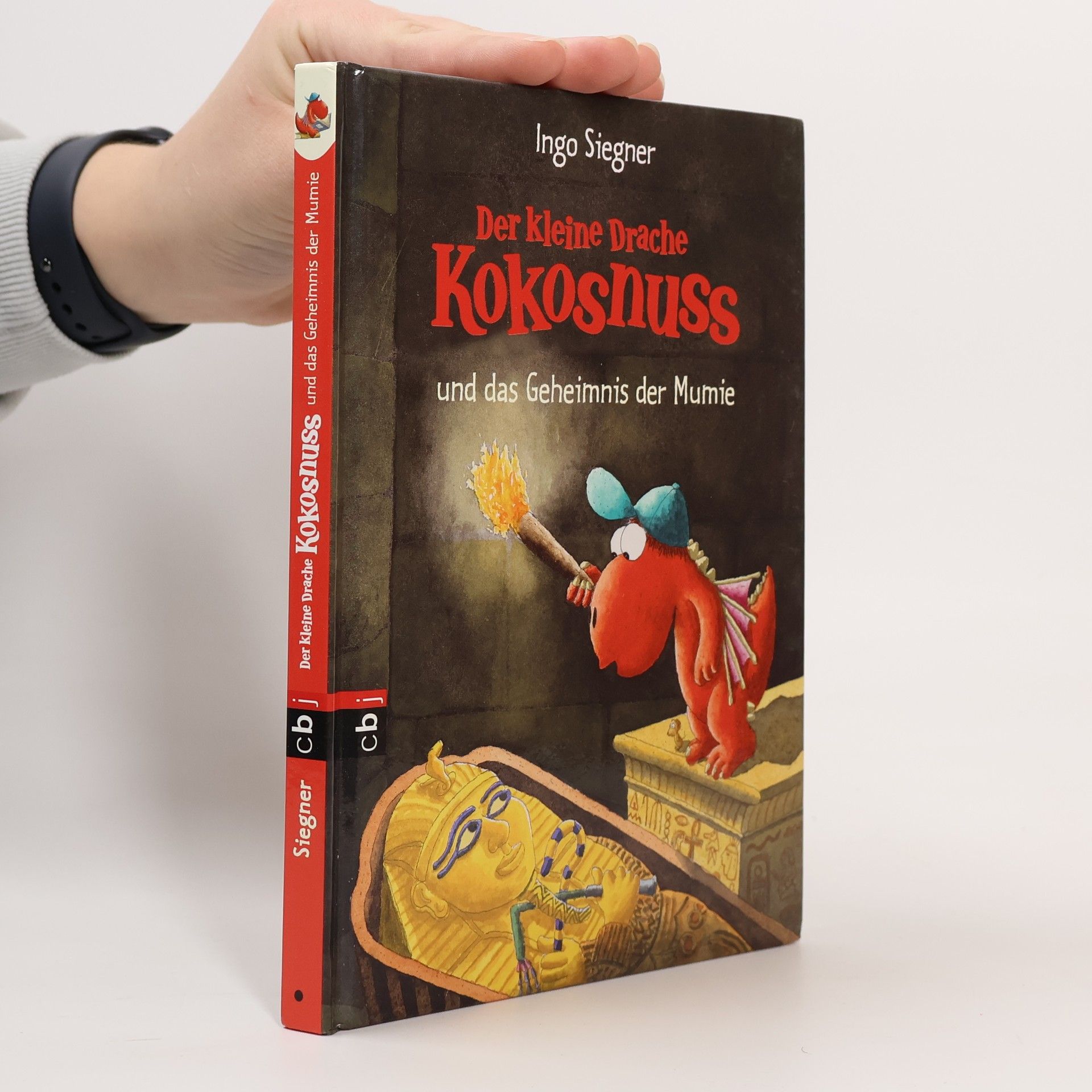 Ingo Siegner Der kleine Drache Kokosnuss und das Geheimnis der Mumie