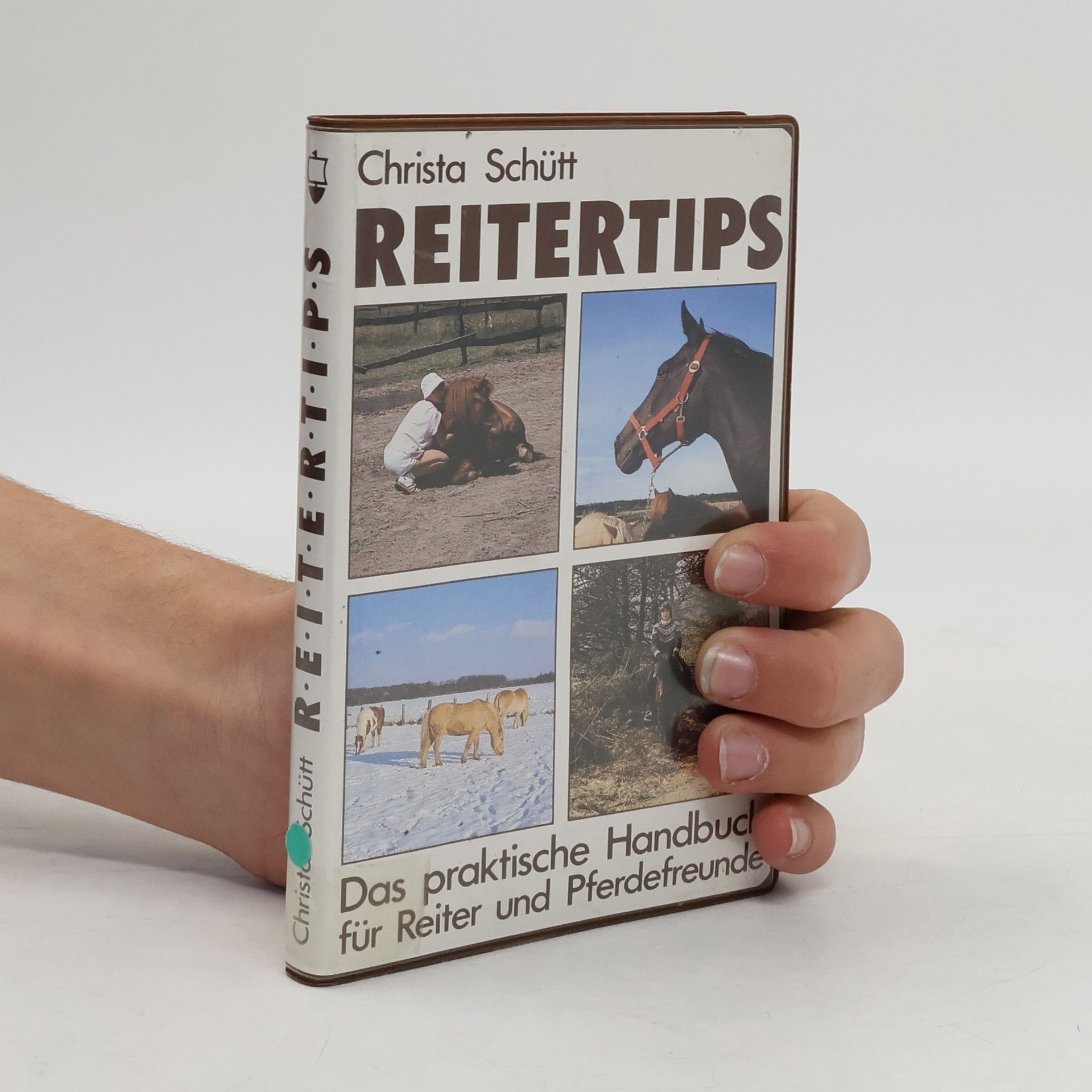 Christa Schütt Reitertips