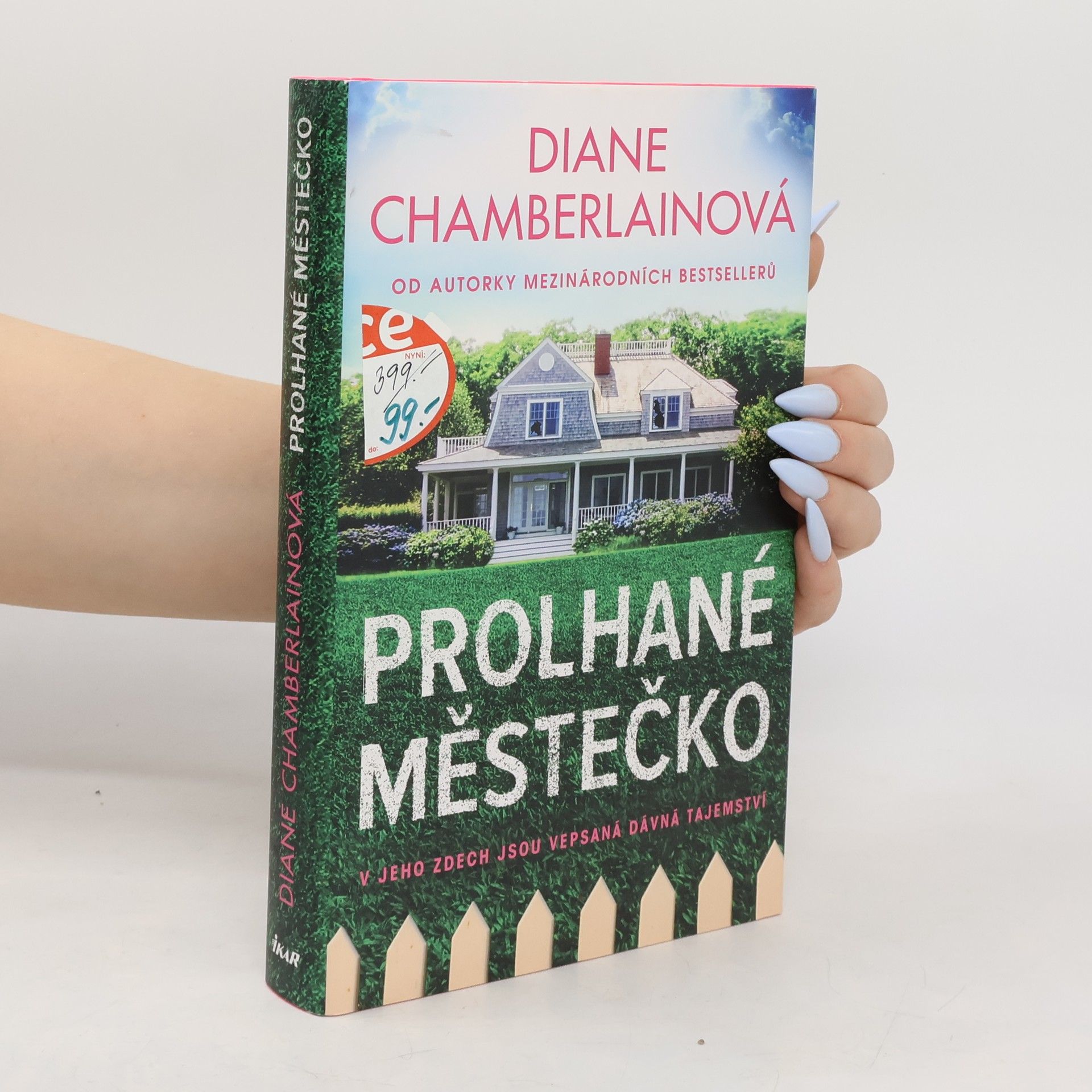 Diane Chamberlain Prolhané městečko