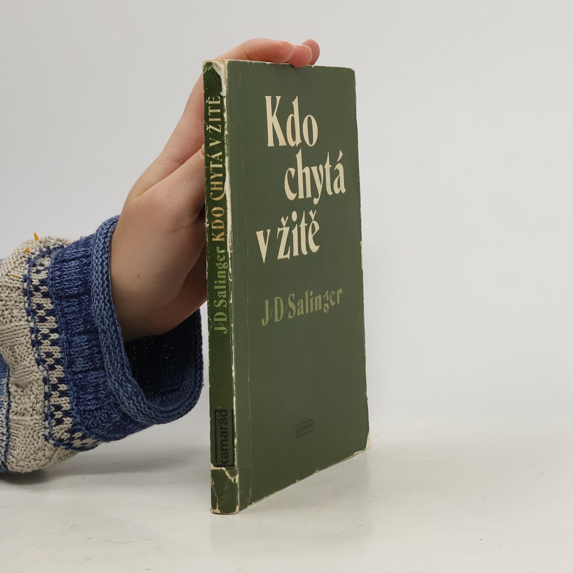 J. D. Salinger Kdo chytá v žitě