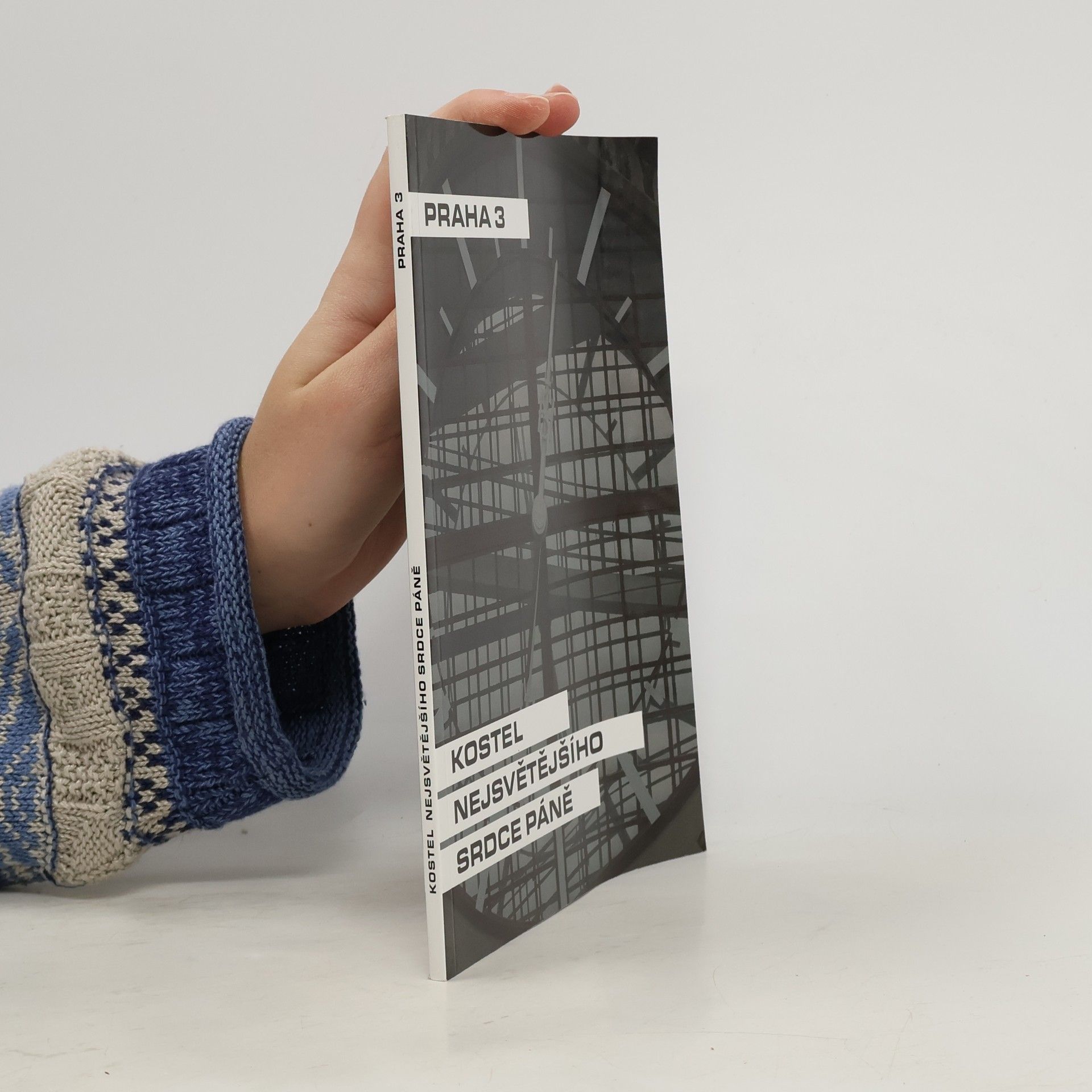 Dana Schlaichertová Kostel nejsvětějšího srdce Páně. Praha 3