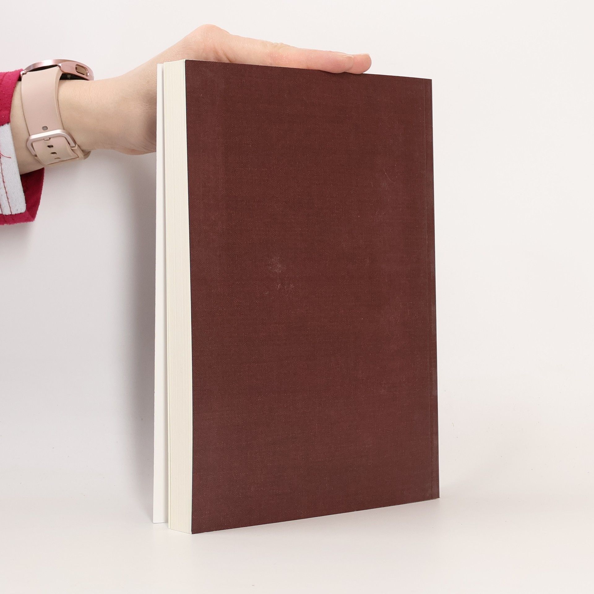 Werkbuch Abendmahl mit Kindern