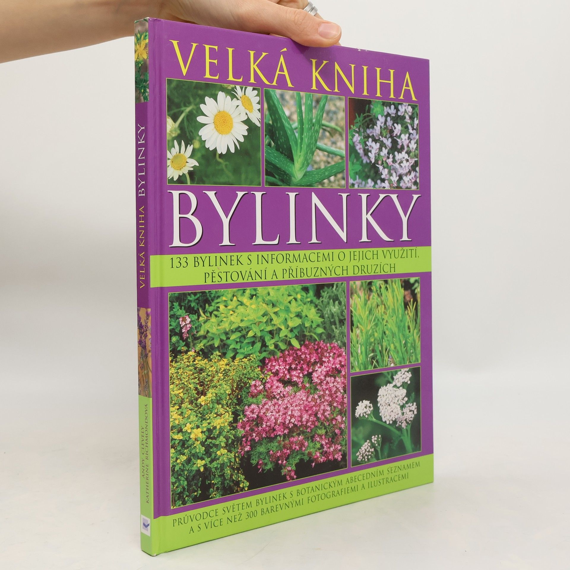 A. M. Clevely Bylinky. Velká kniha