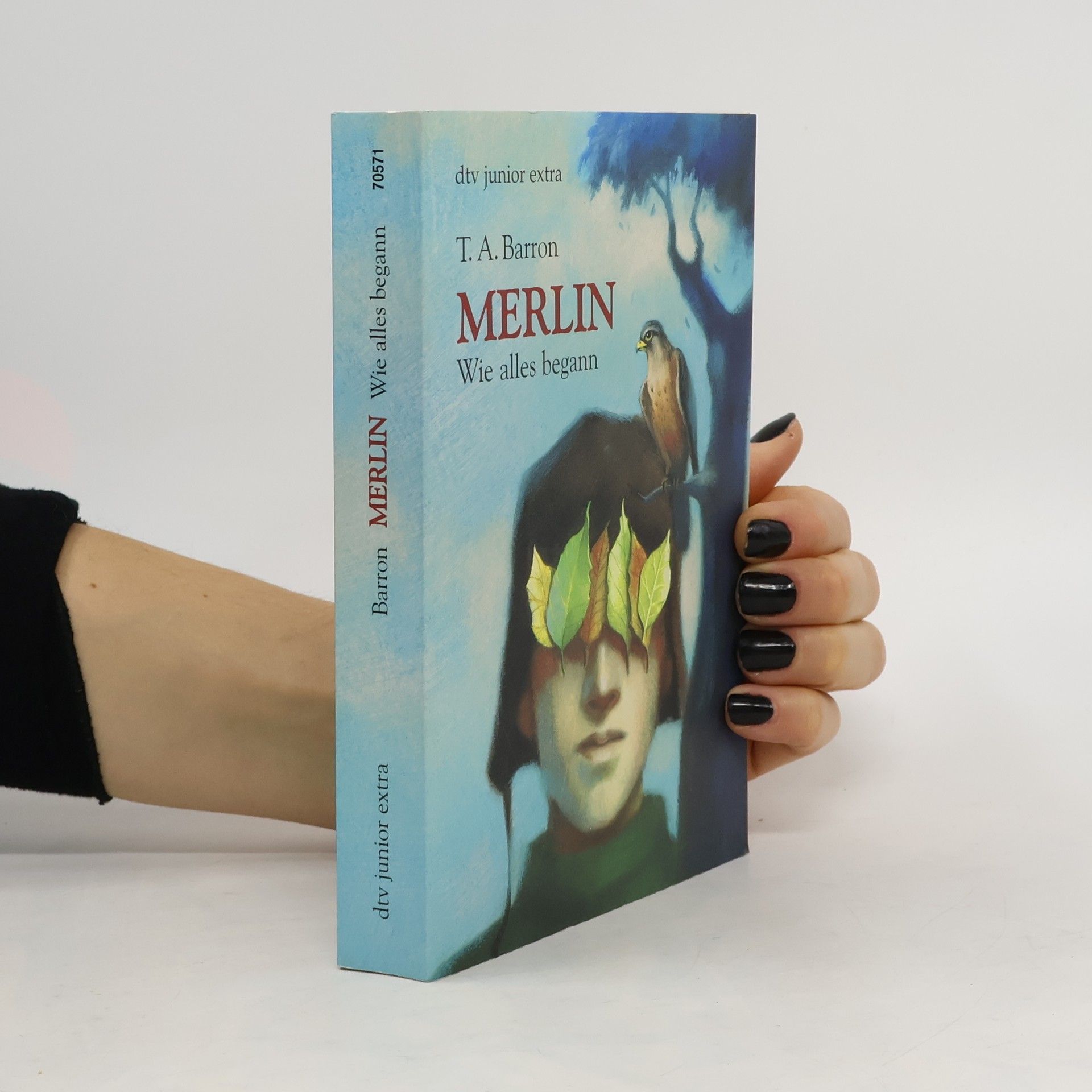 Merlin. Wie alles begann