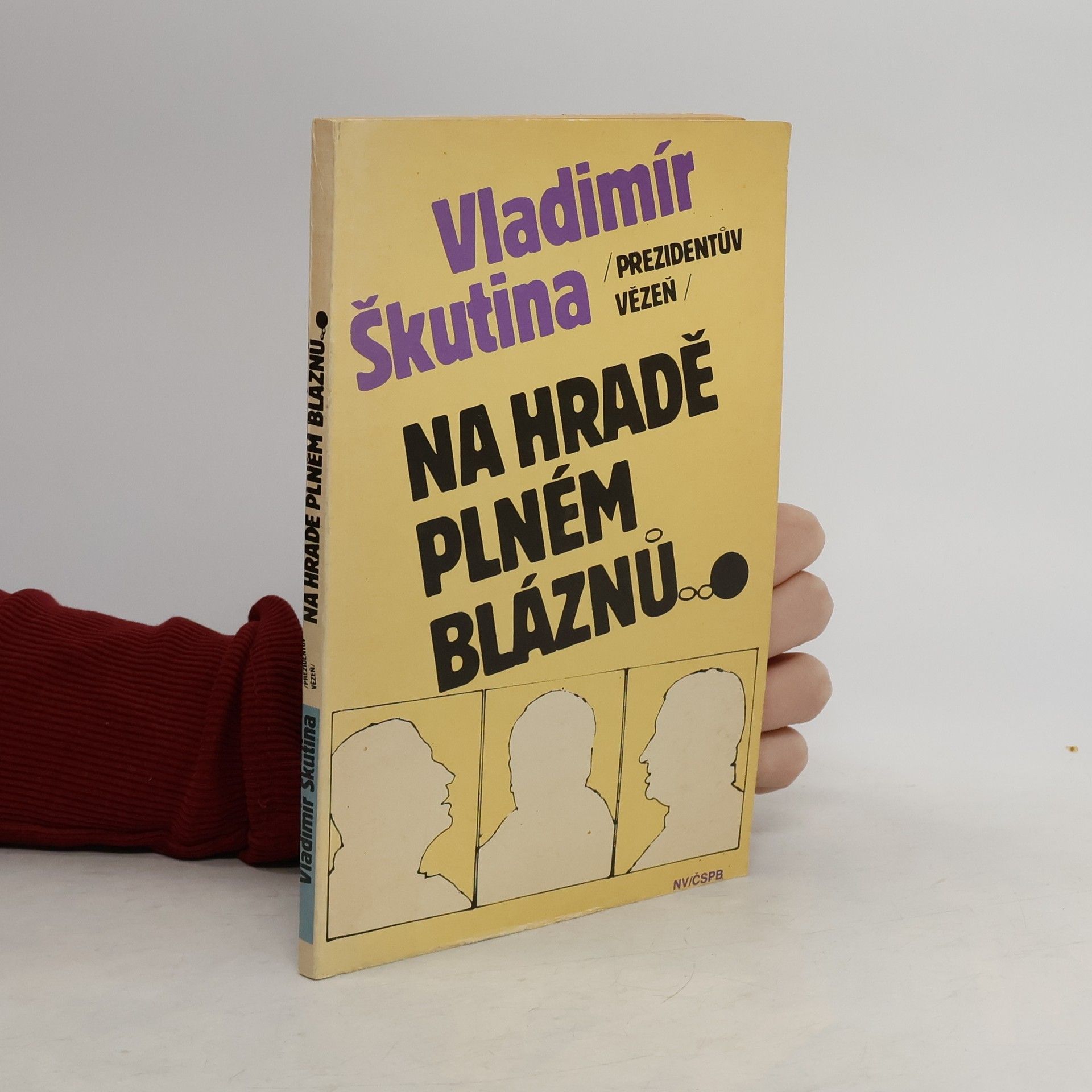Vladimír Škutina Na hradě plném bláznů