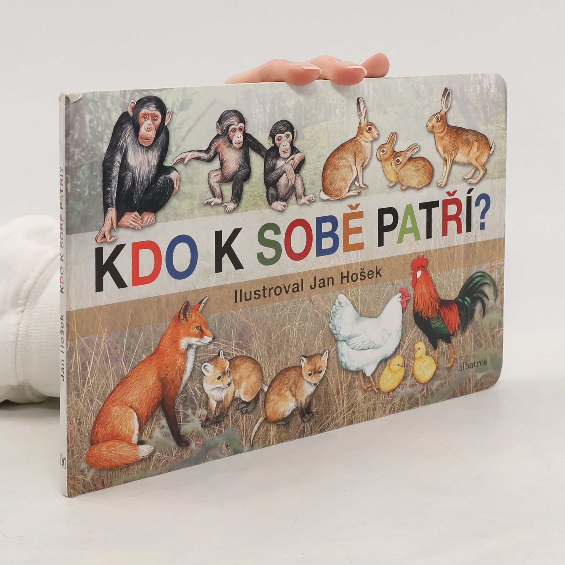 Jan Hošek Kdo k sobě patří?