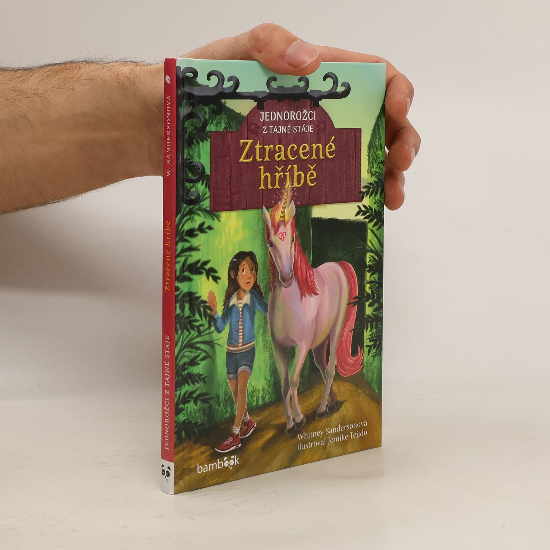 Jednorožci z tajné stáje Ztracené hříbě