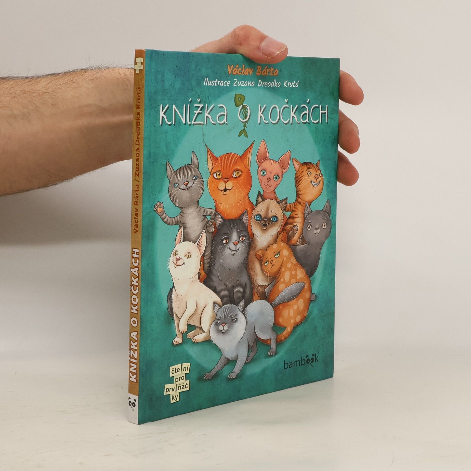 Knížka o kočkách