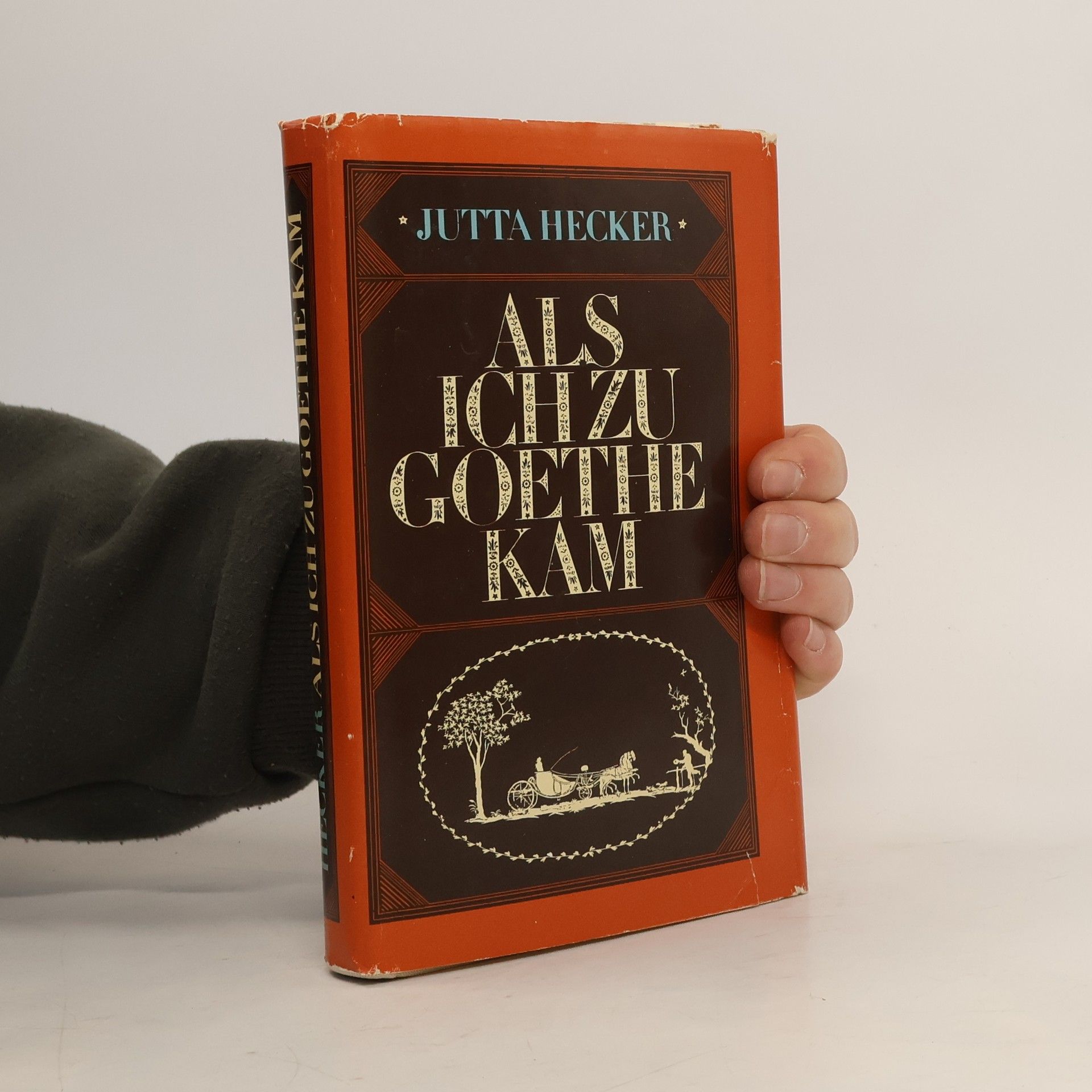 Als Ich zu Goethe Kam