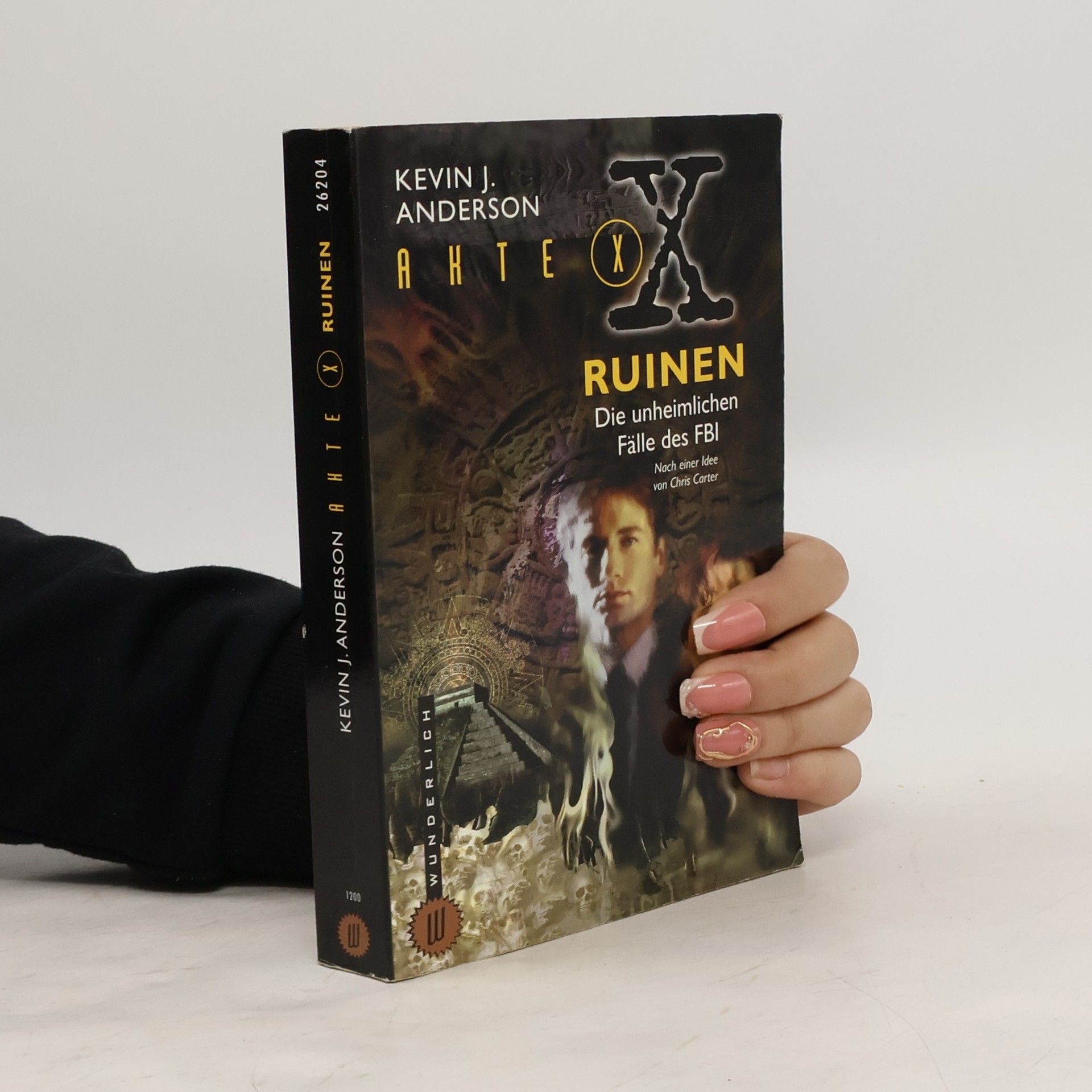 Kevin J. Anderson Akte X. Ruinen