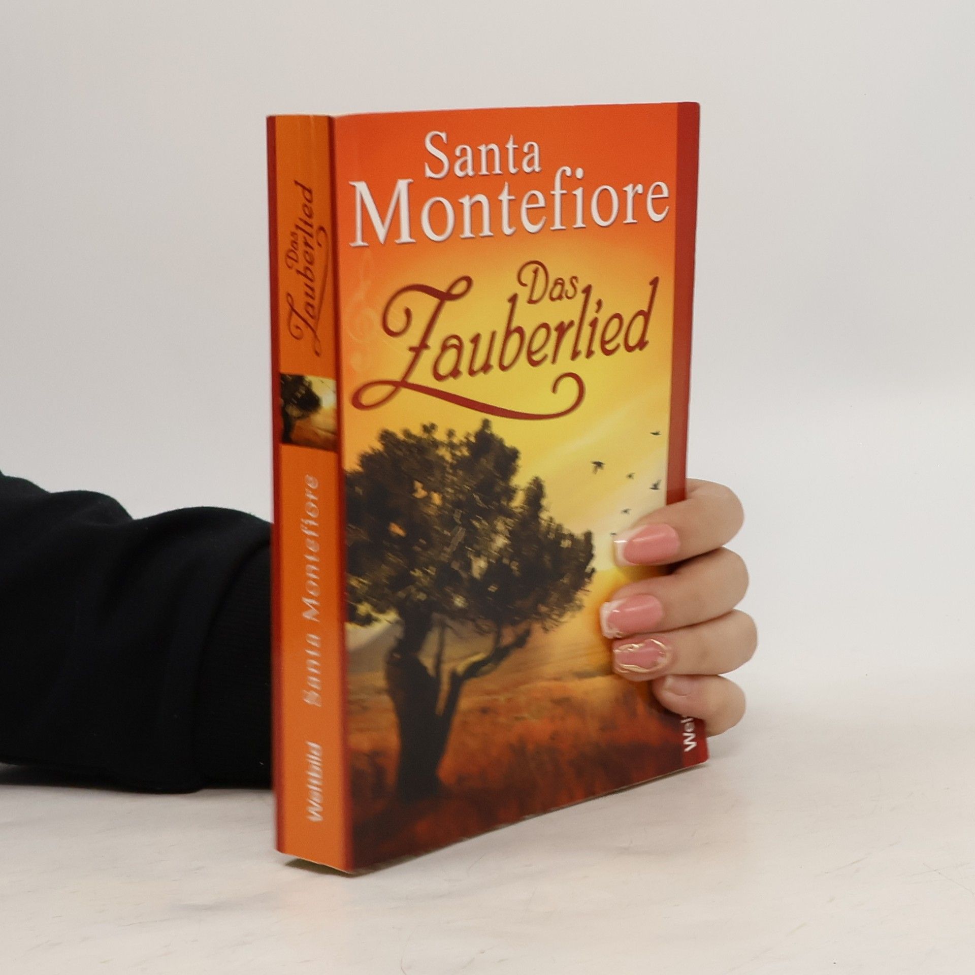Santa Montefiore Das Zauberlied
