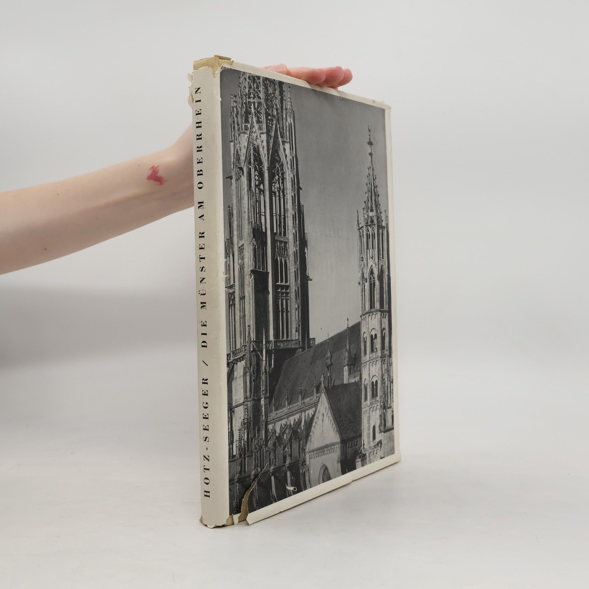 Die Münster am Oberrhein