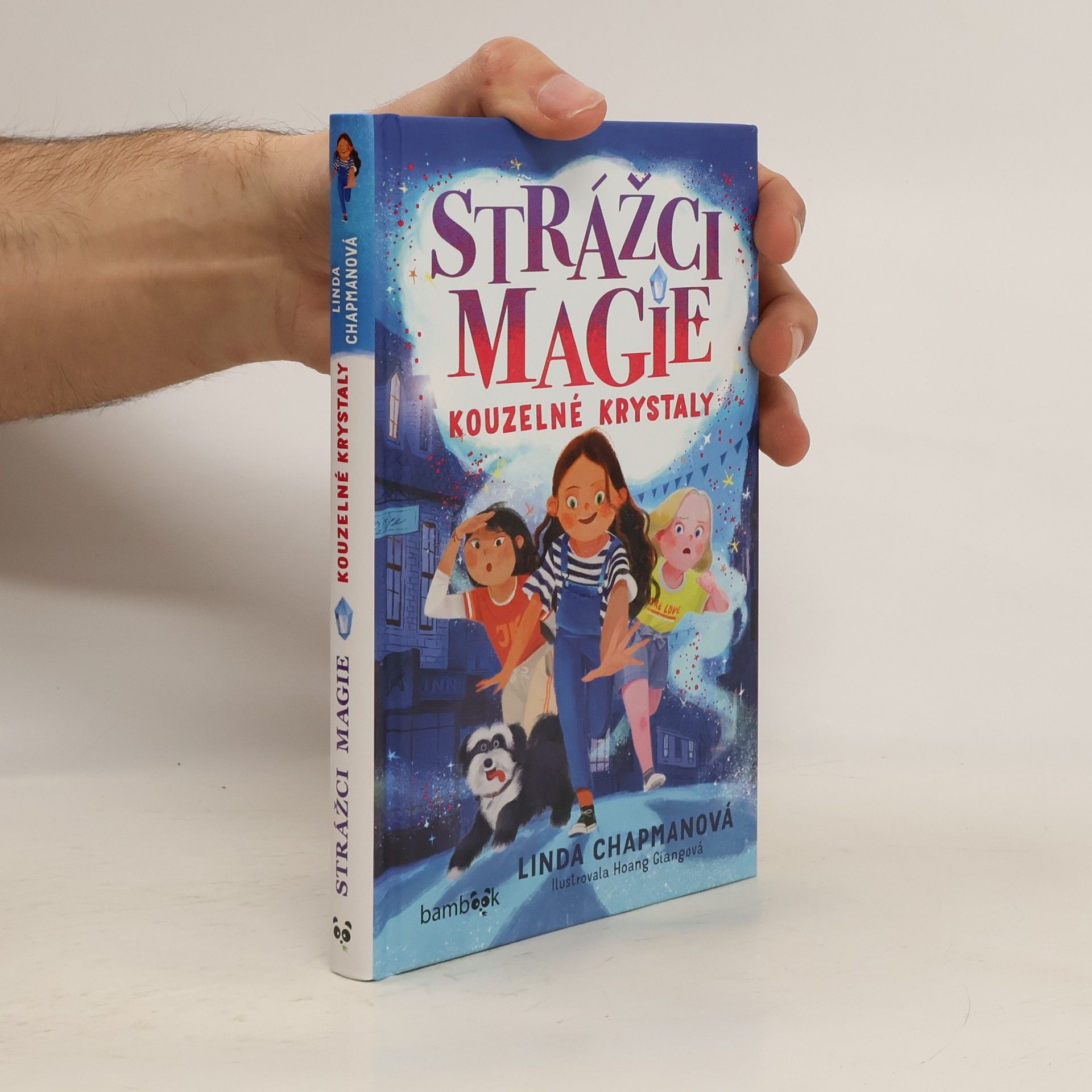 Linda Chapman Strážci magie. Kouzelné krystaly