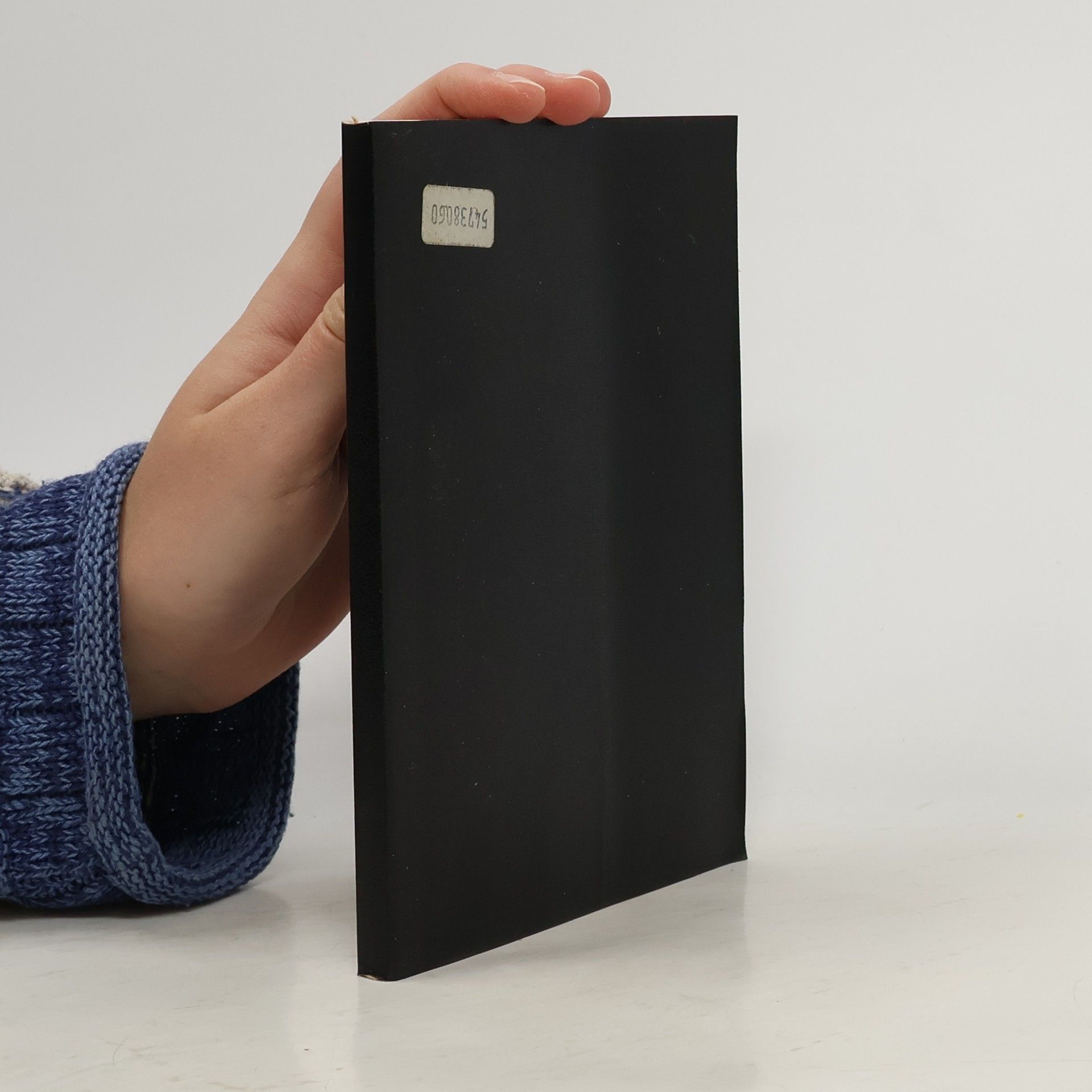 Kolektív autorov Новый Завет господа нашего Иисуса Христа