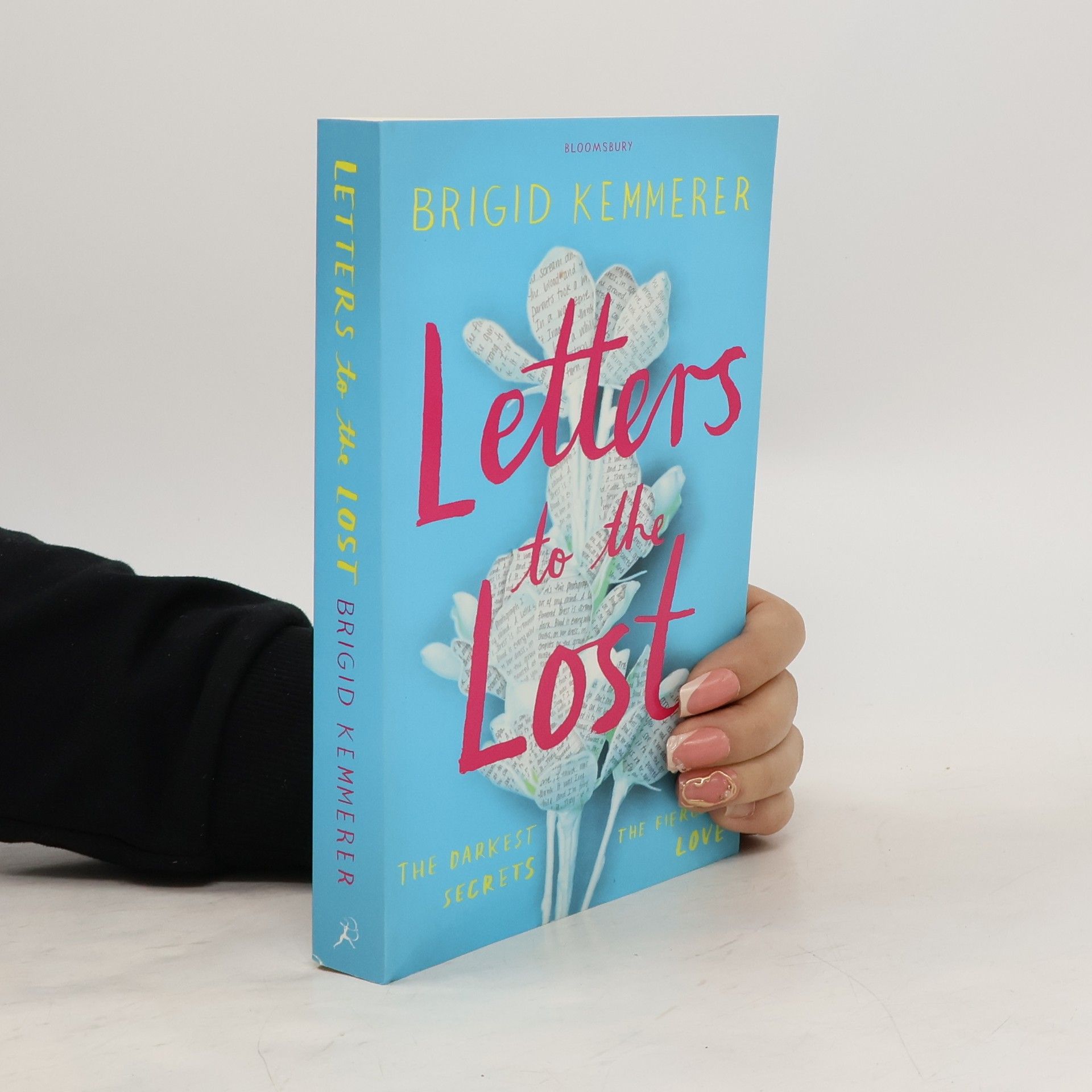 Brigid Kemmerer Letters to the Lost