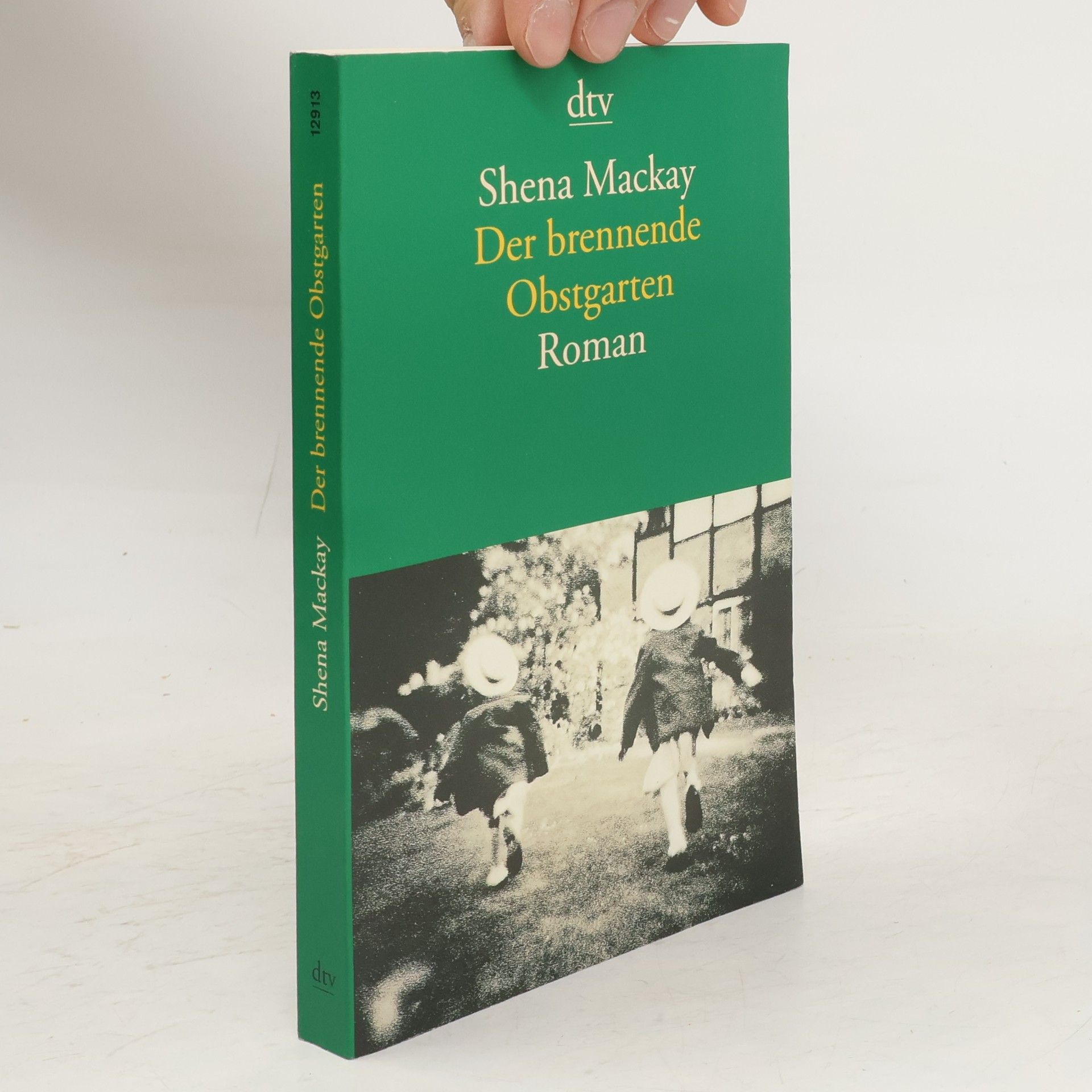 Shena Mackay Der brennende Obstgarten