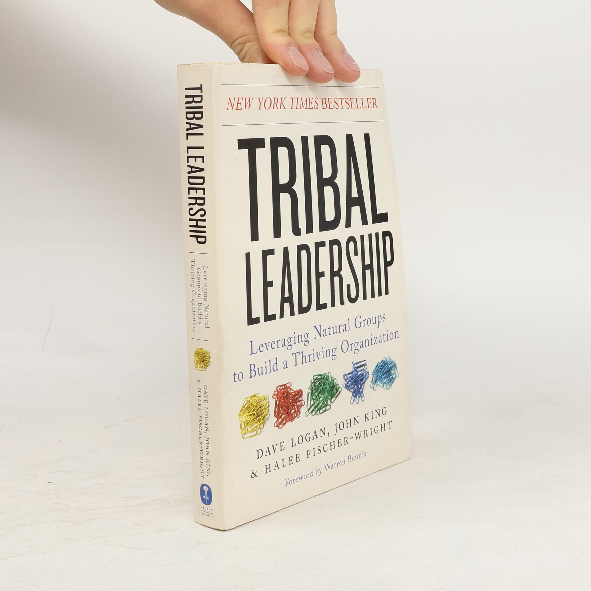 Dave Logan Tribal Leadership