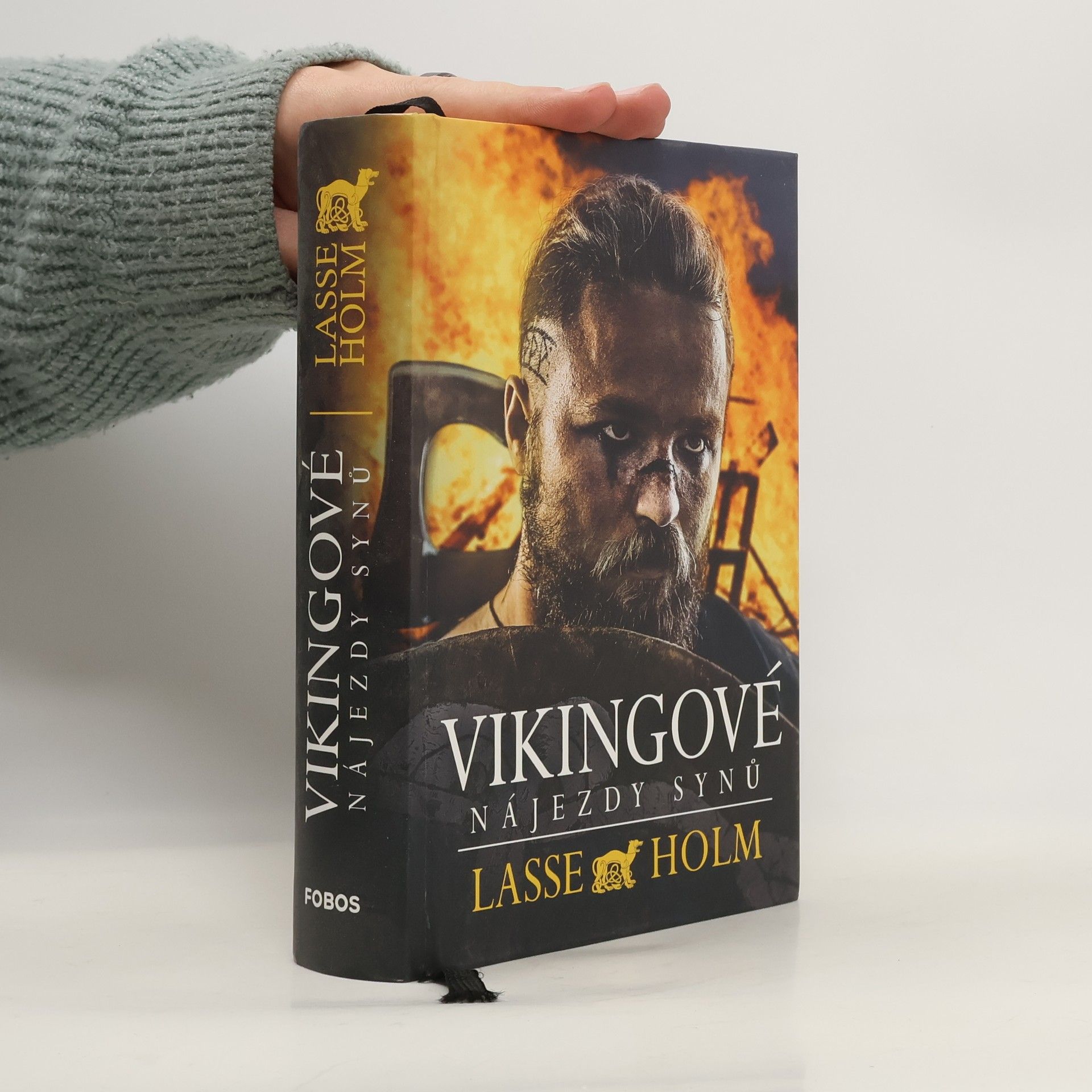 Lasse Holm Vikingové. Nájezdy synů