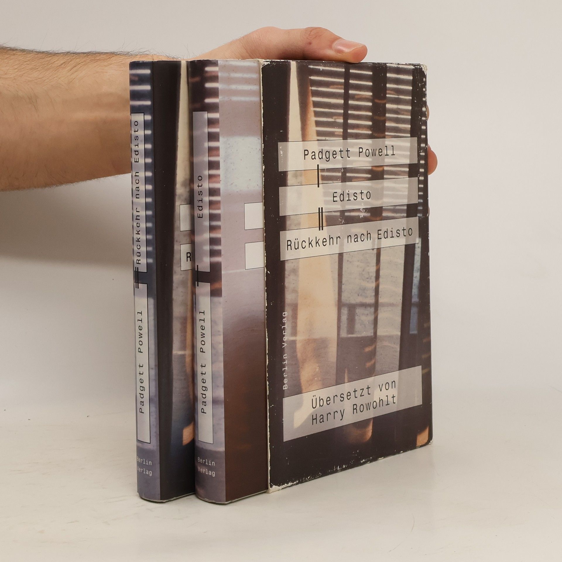 Padgett Powell Edisto. Rückkehn nach Edisto