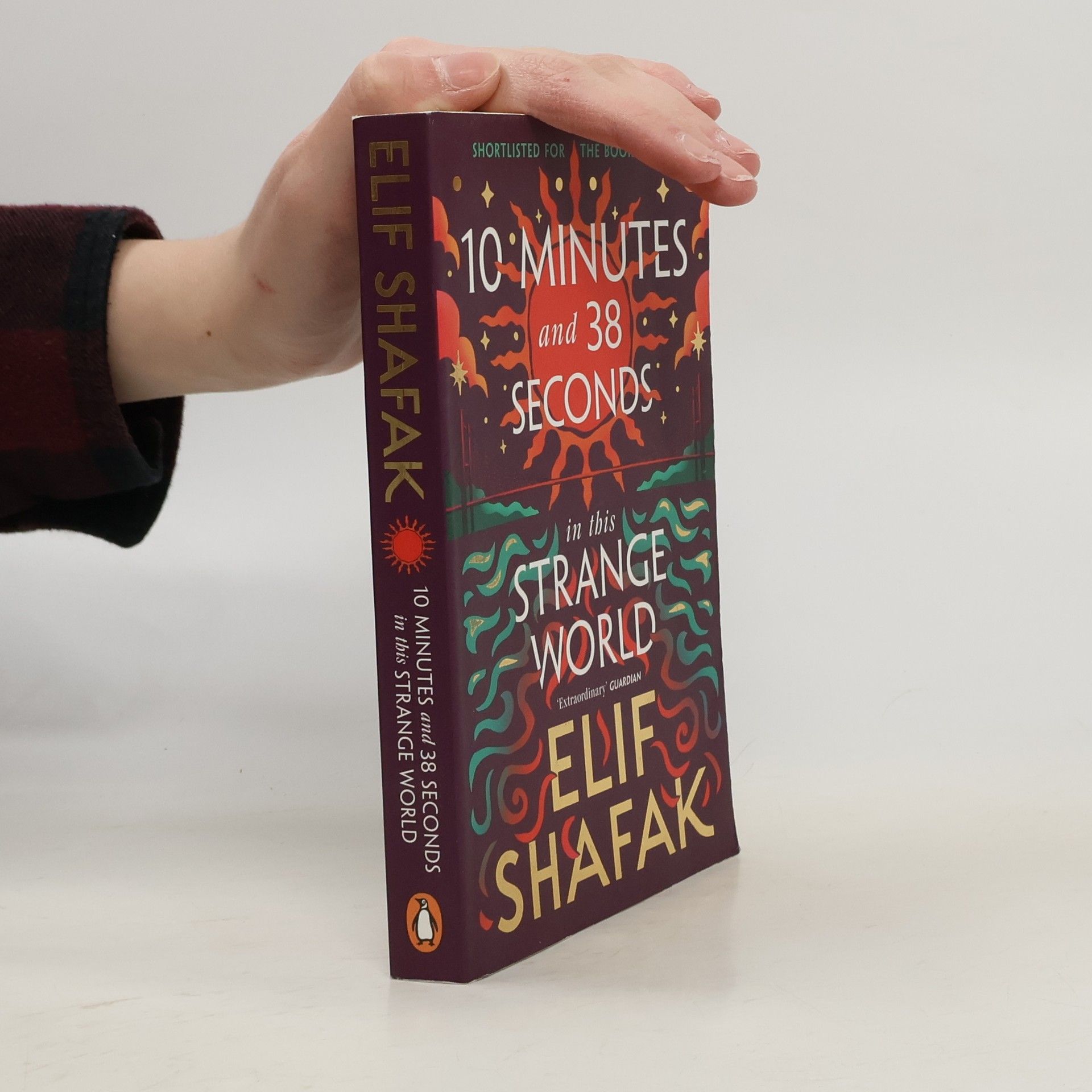 Elif Shafak 10 Minutes 38 Seconds in This Strange World