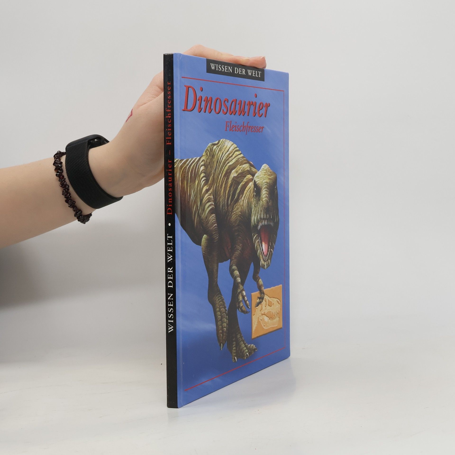 Kolektív autorov Dinosaurier