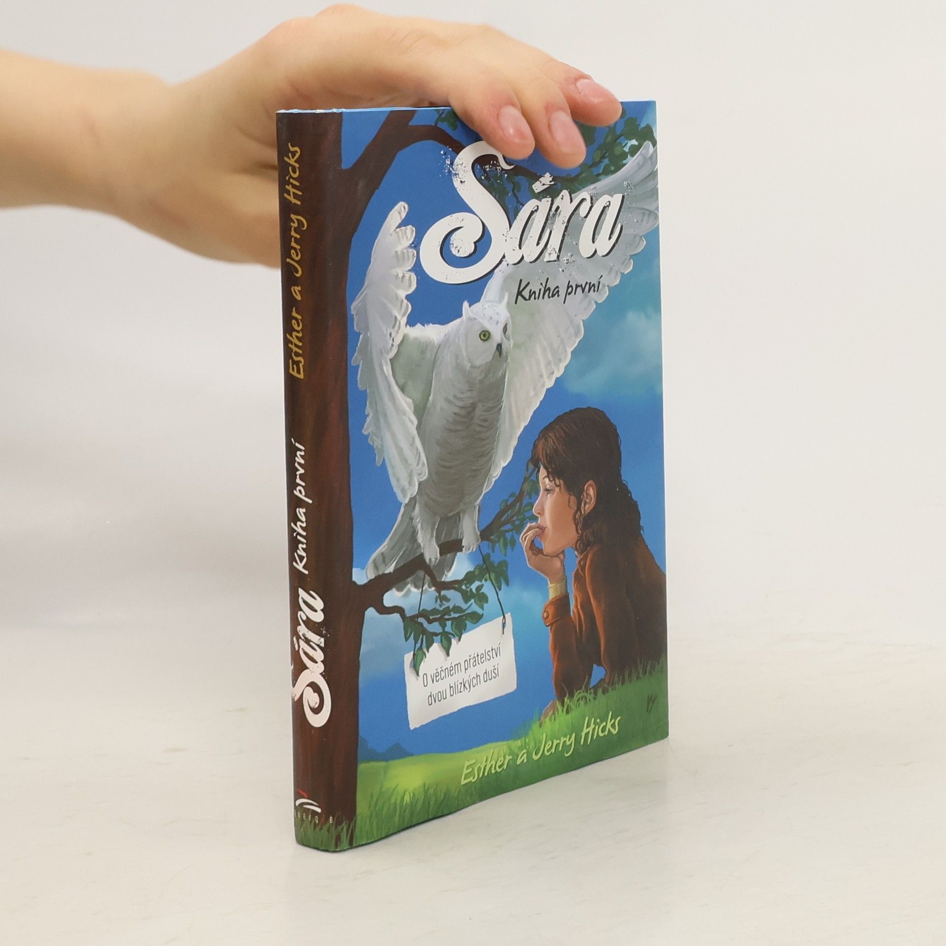 Esther Hicks Sára. Kniha první, O věčném přátelství dvou blízkých duší