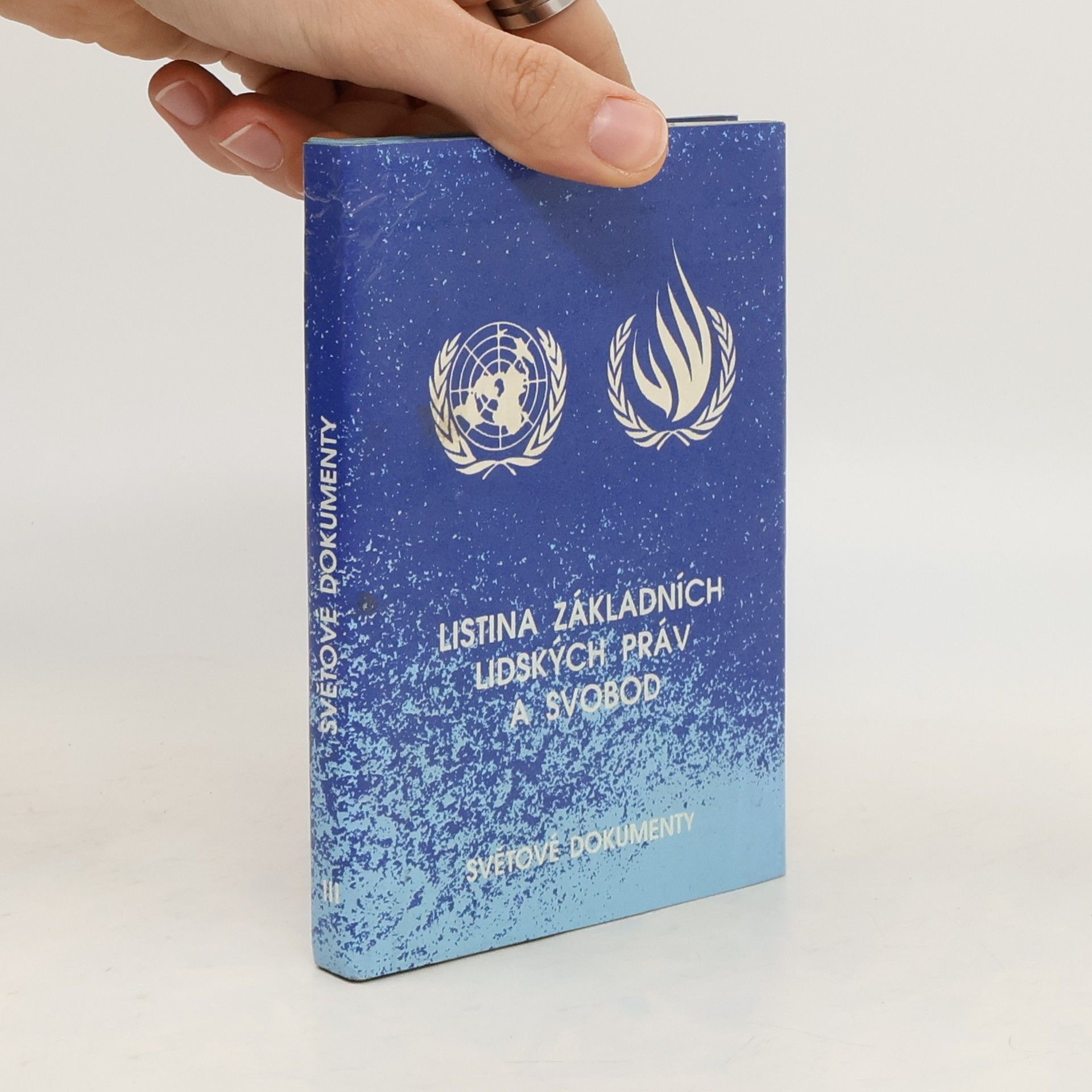 Kolektiv autorů Listina základních práv a svobod