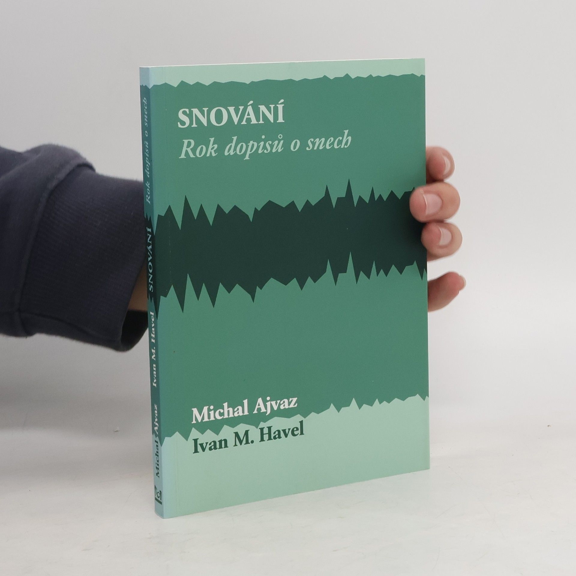 Michal Ajvaz Snování: Rok dopisů o snech