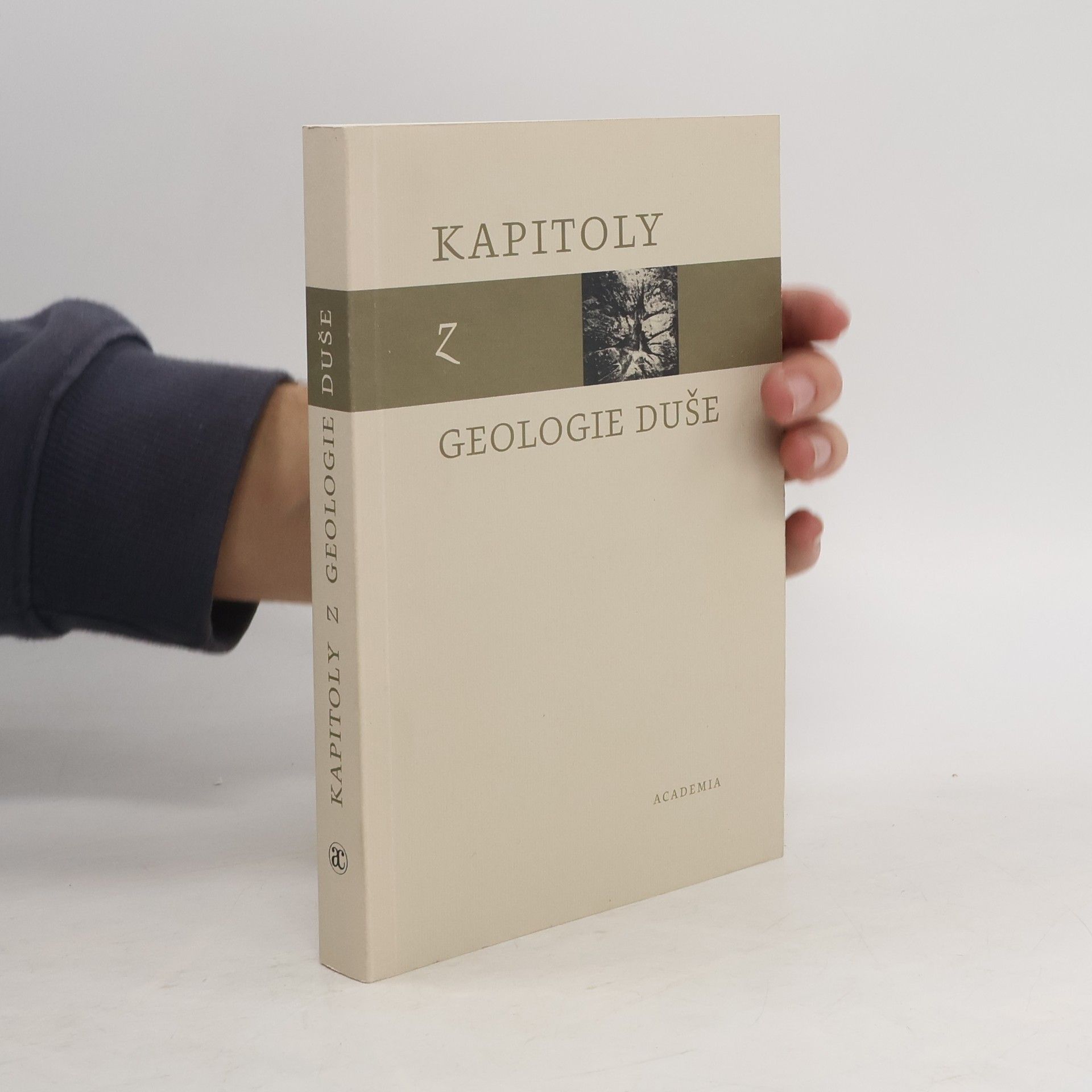 Kolektív autorov Kapitoly z geologie duše