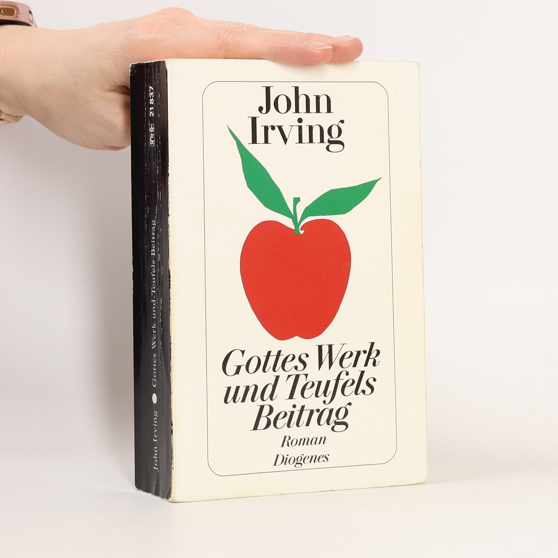 John Irving Gottes Werk und Teufels Beitrag