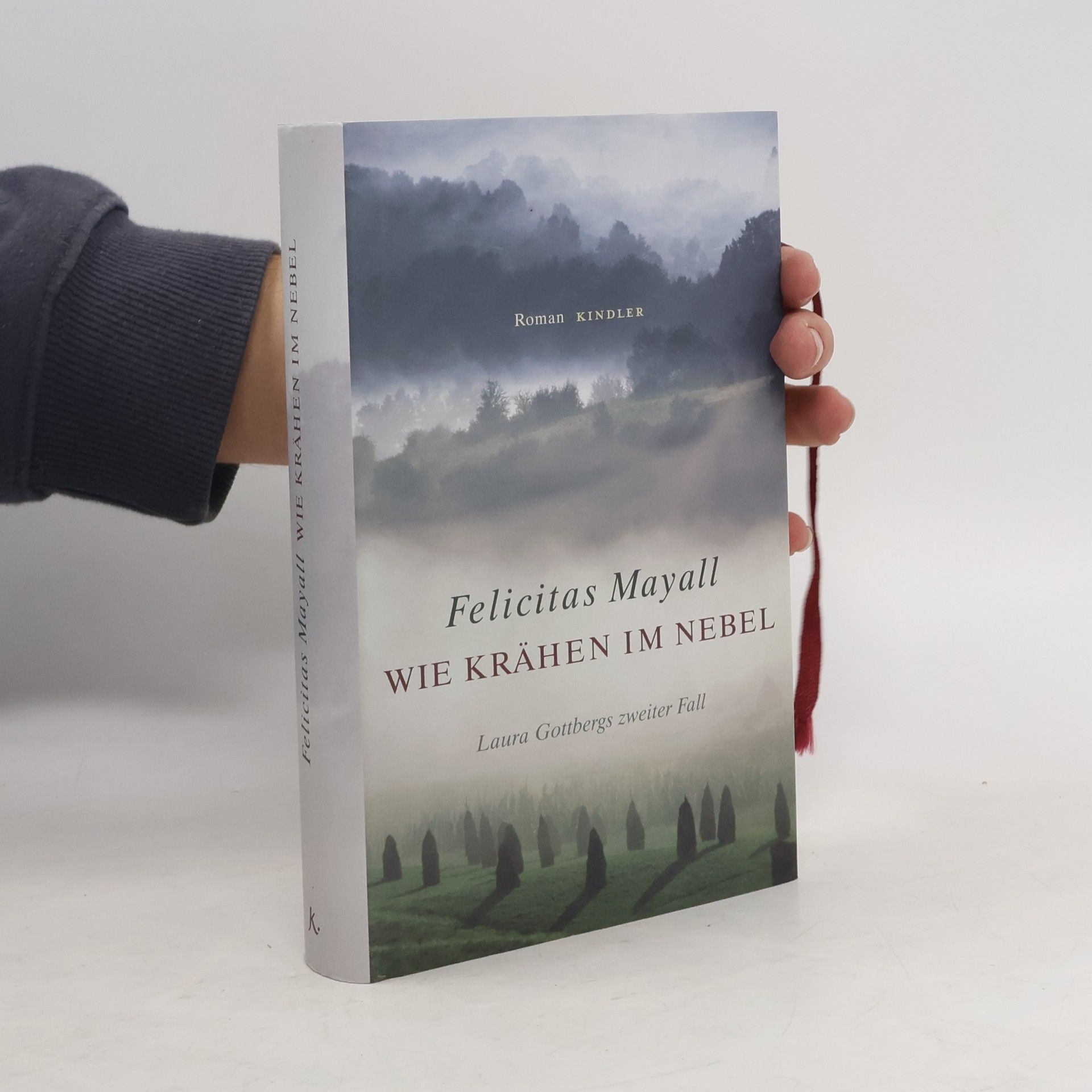 Felicitas Mayall Wie Krähen im Nebel