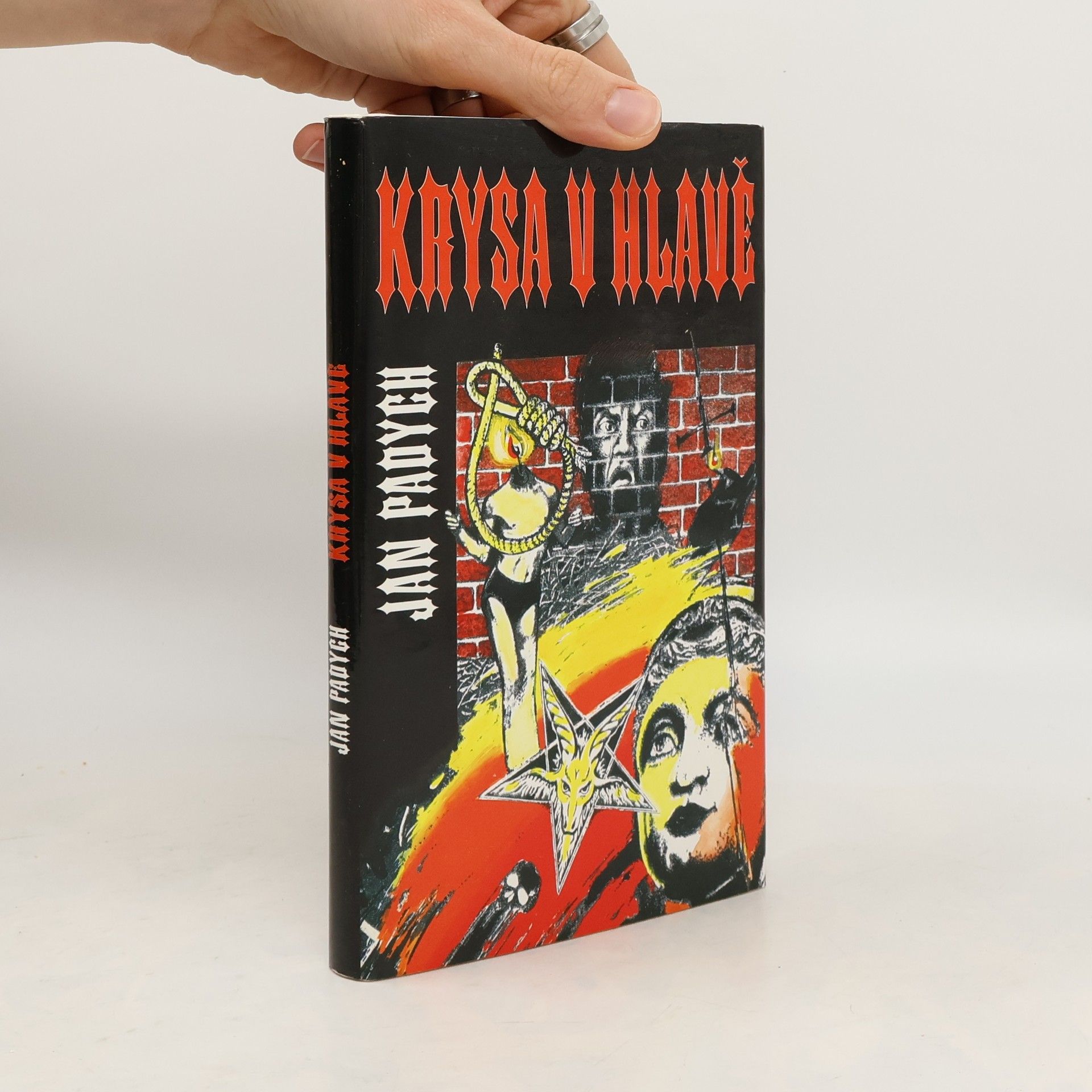 Jan Padych Krysa v hlavě