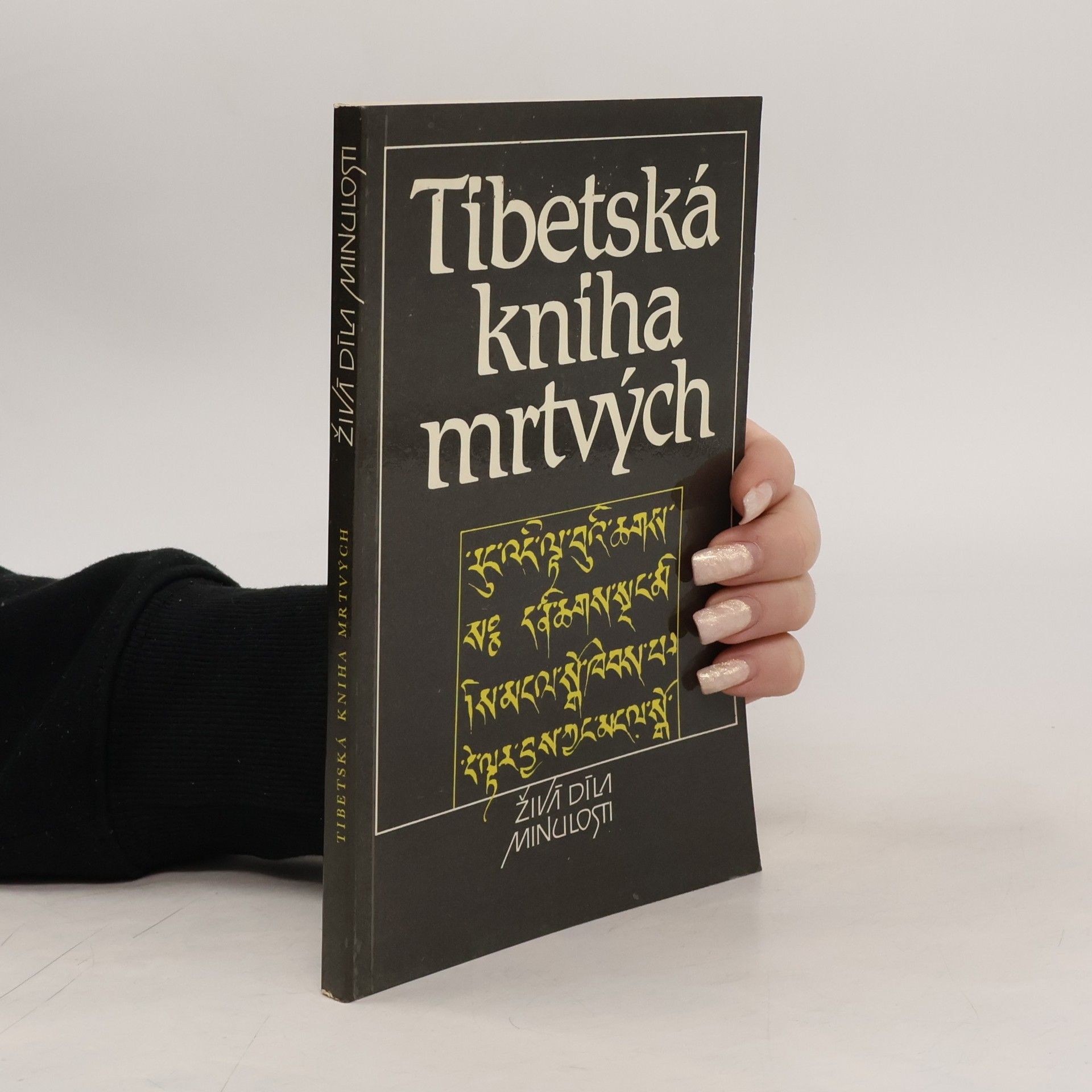 Kolektív autorov Tibetská kniha mrtvých