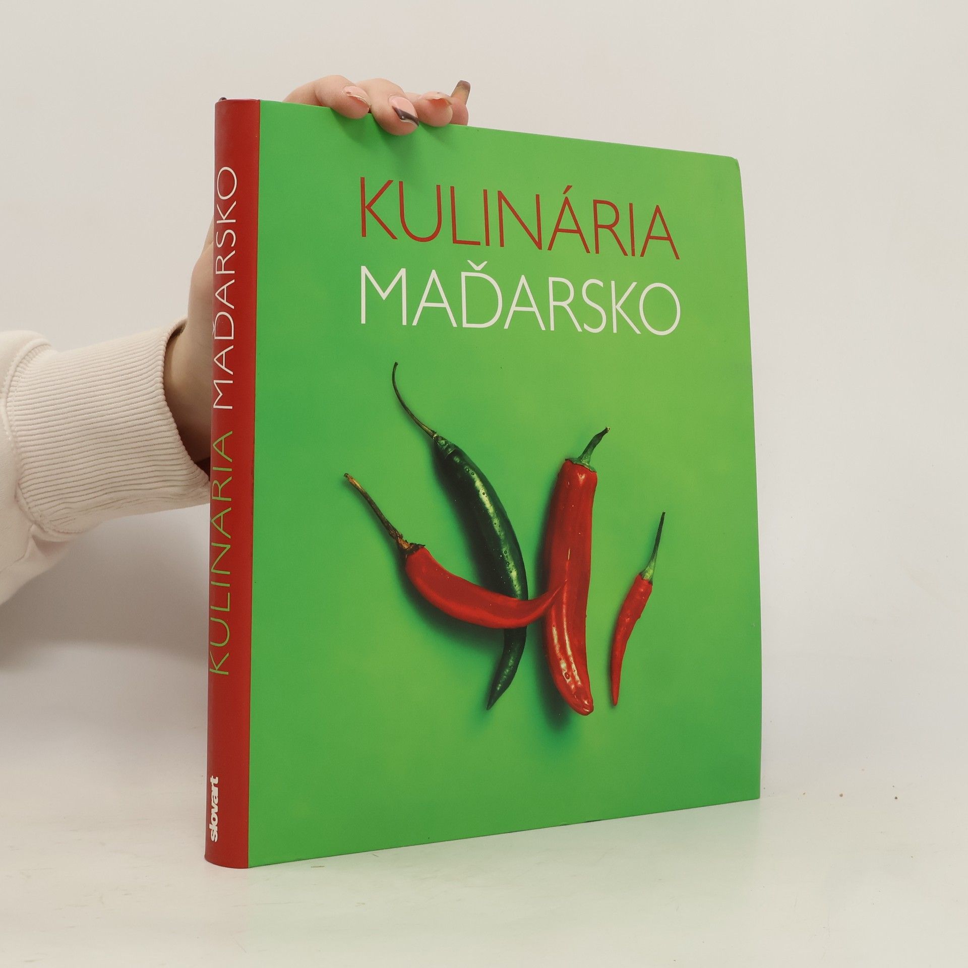 Kolektív autorov Kulinária Maďarsko