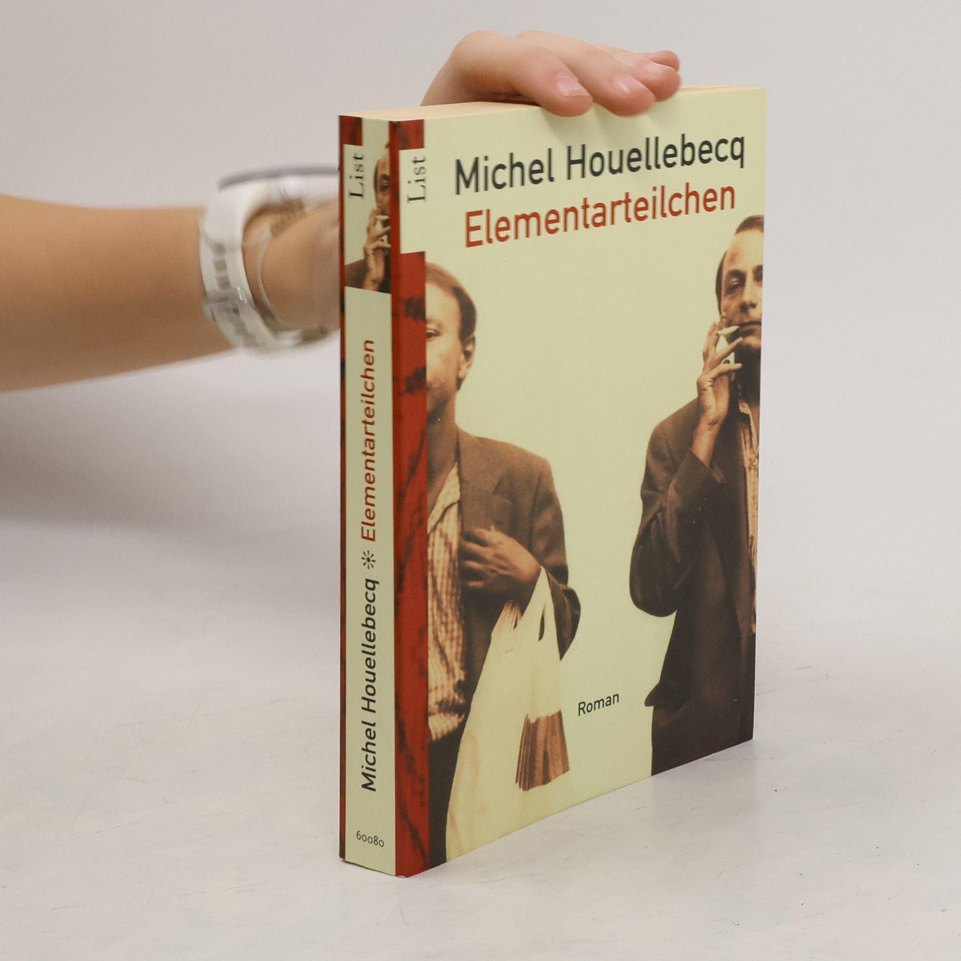 Michel Houellebecq Elementarteilchen