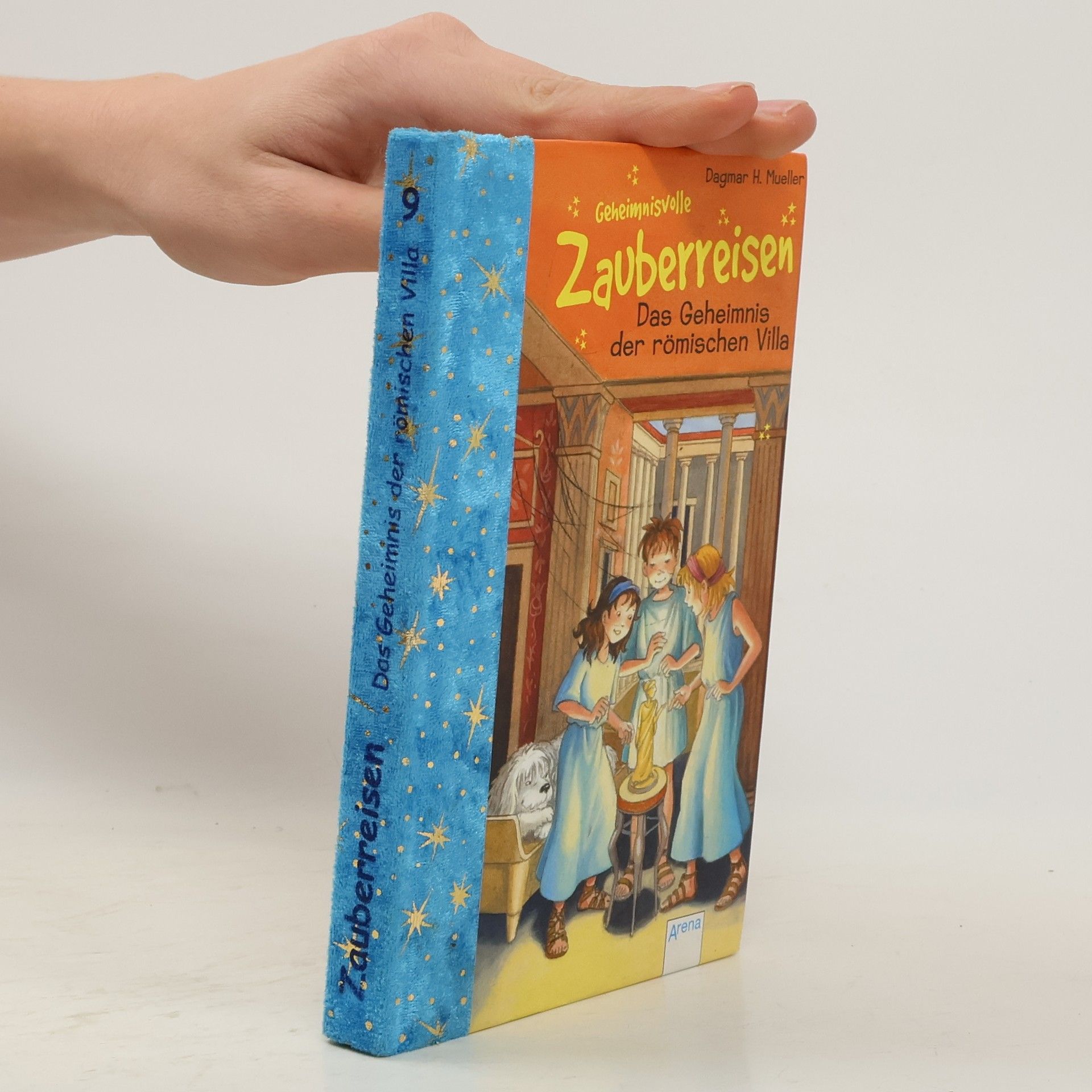 Dagmar H. Mueller Das Geheimnis der römischen Villa