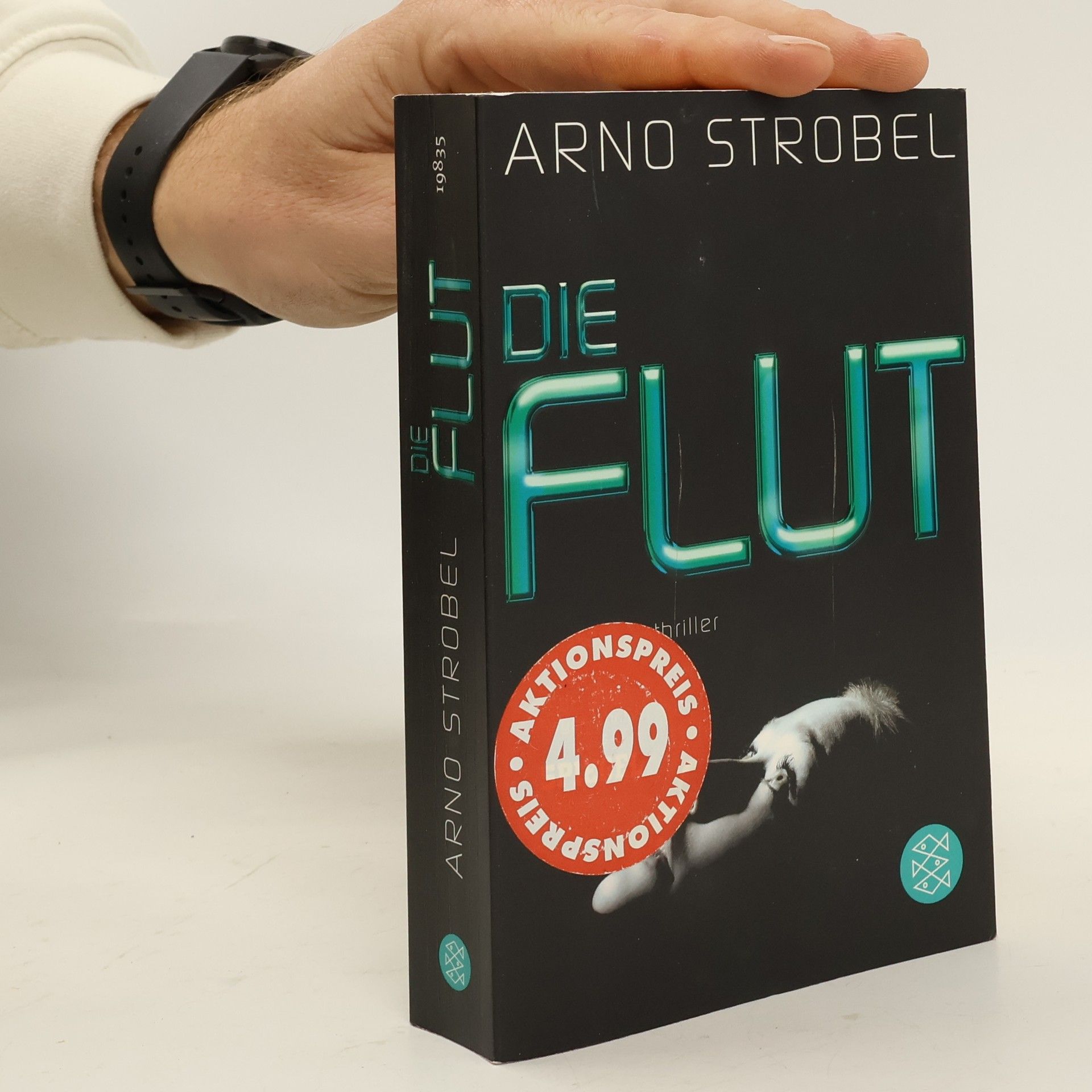 Arno Strobel Die Flut