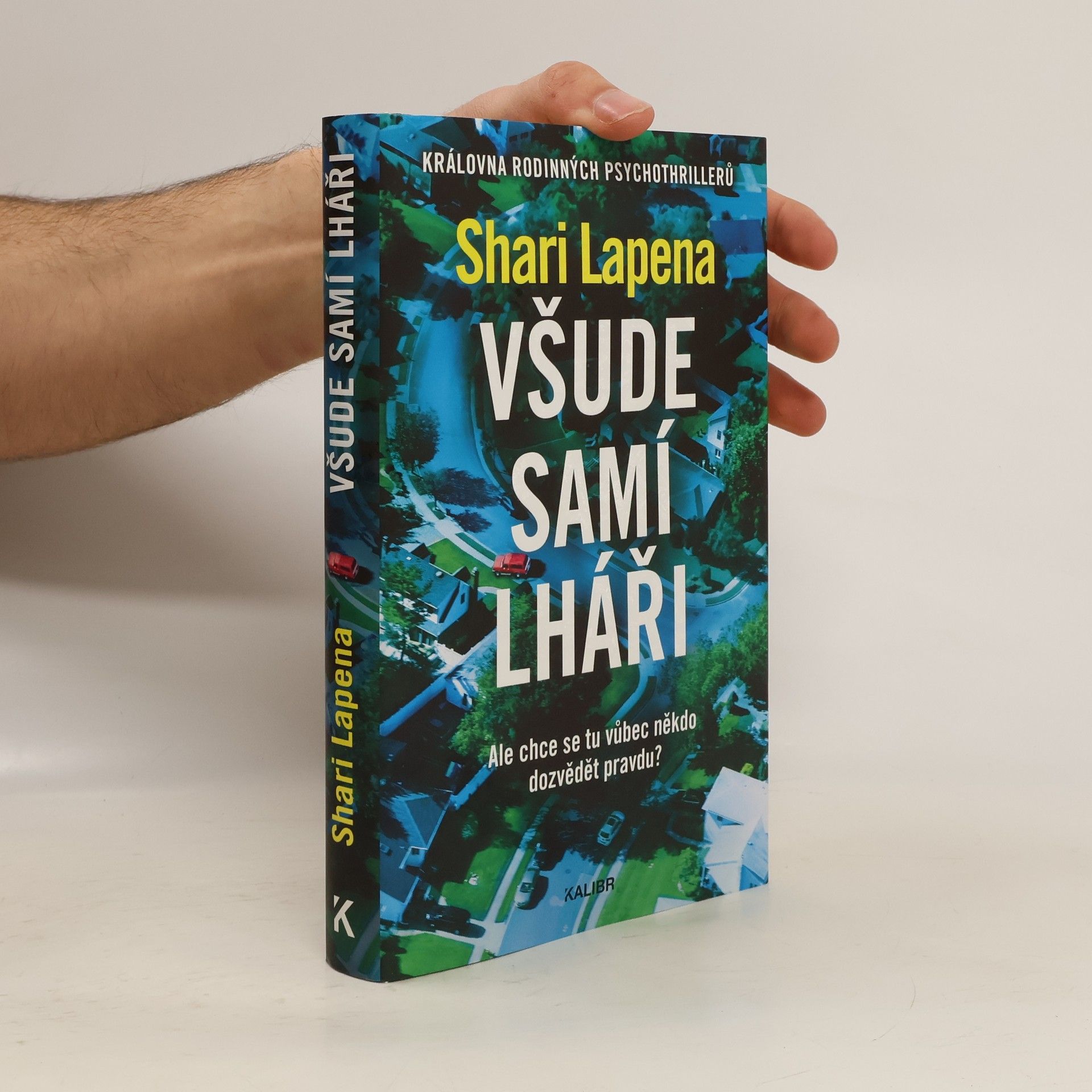 Shari Lapena Všude samí lháři